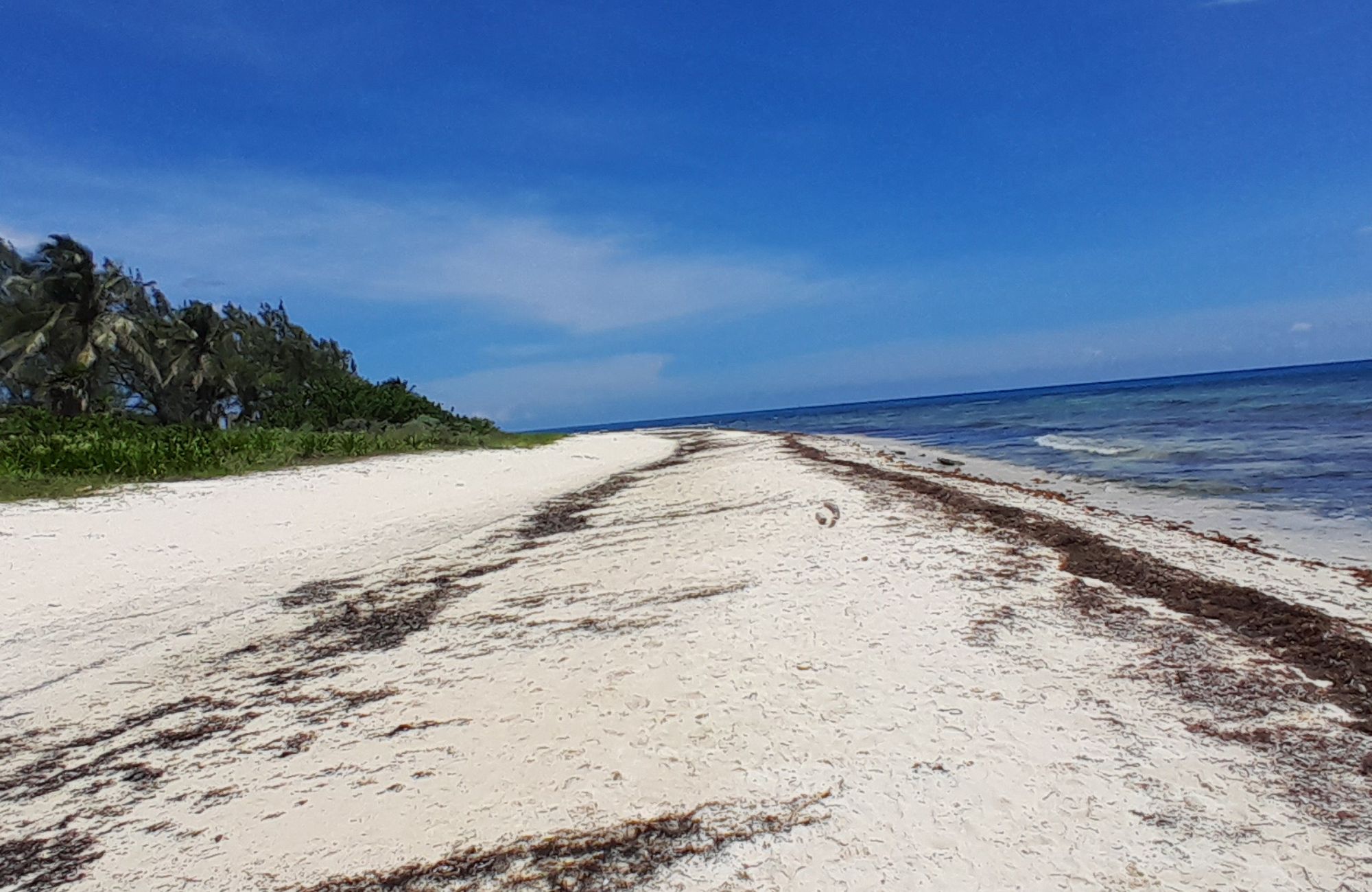 Terreno frente a la playa, uso hotelero, en venta, Punta esmeralda, Playa del Carmen.