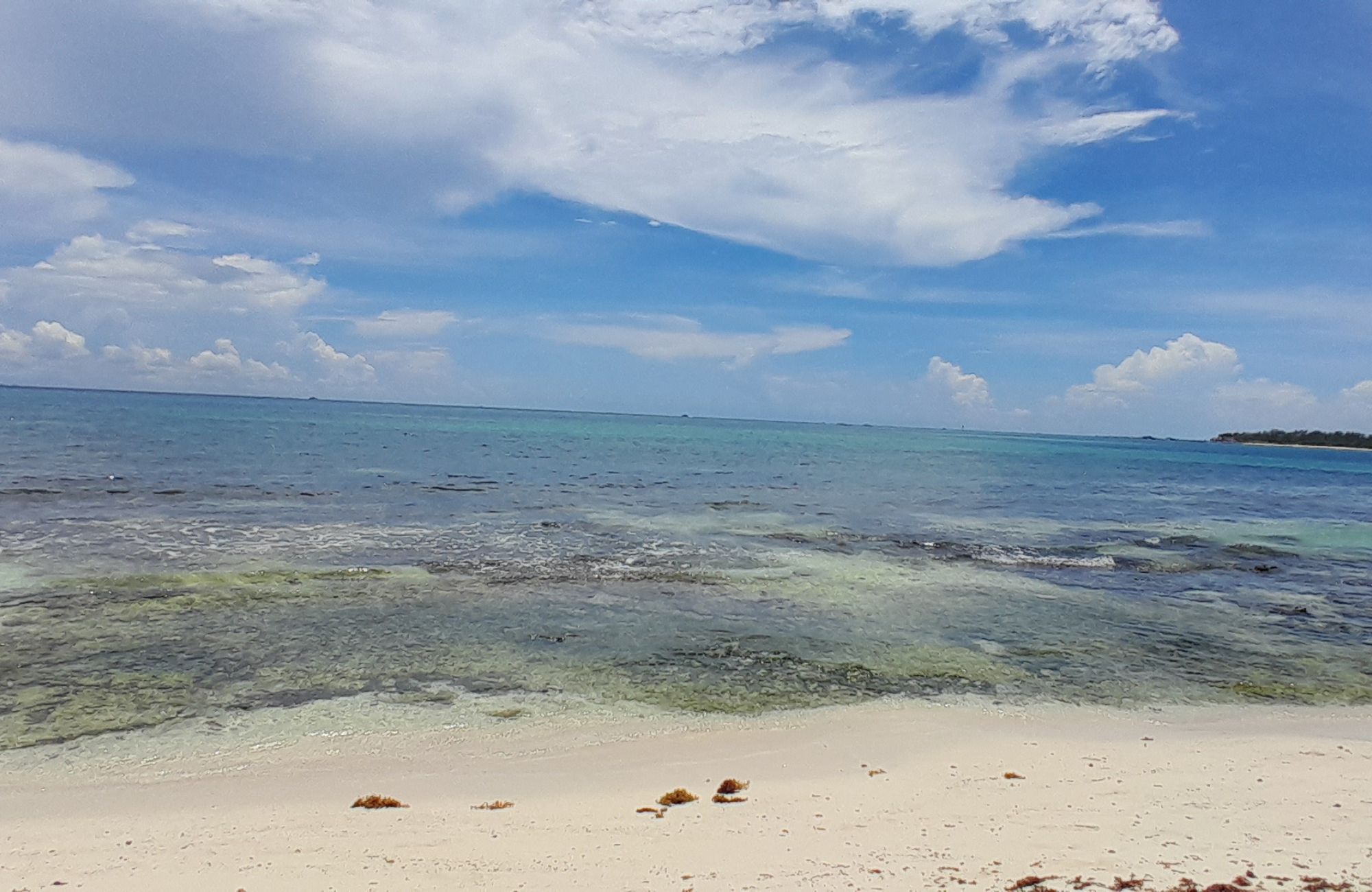 Terreno frente a la playa, uso hotelero, en venta, Punta esmeralda, Playa del Carmen.