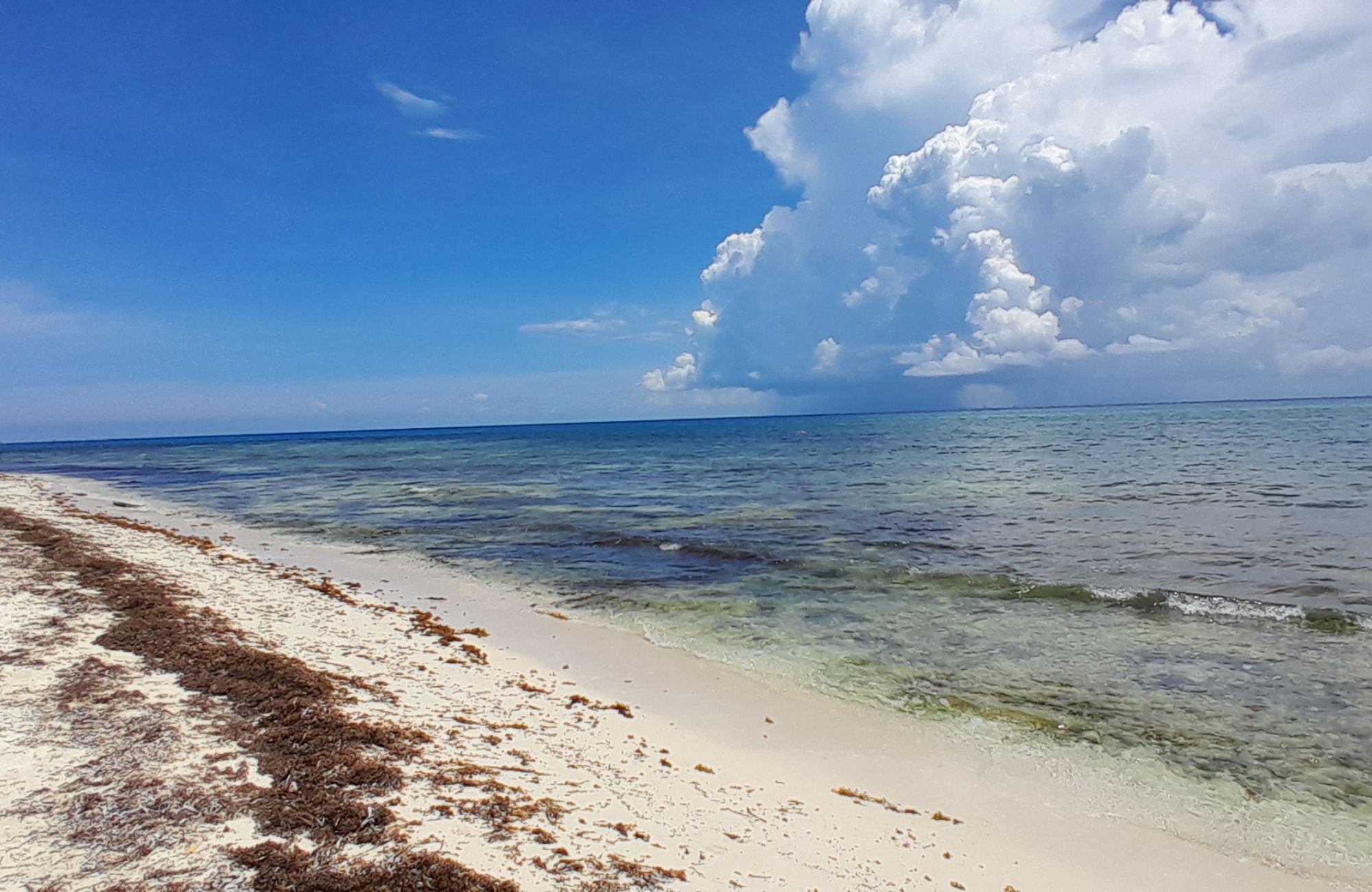 Terreno frente a la playa, uso hotelero, en venta, Punta esmeralda, Playa del Carmen.