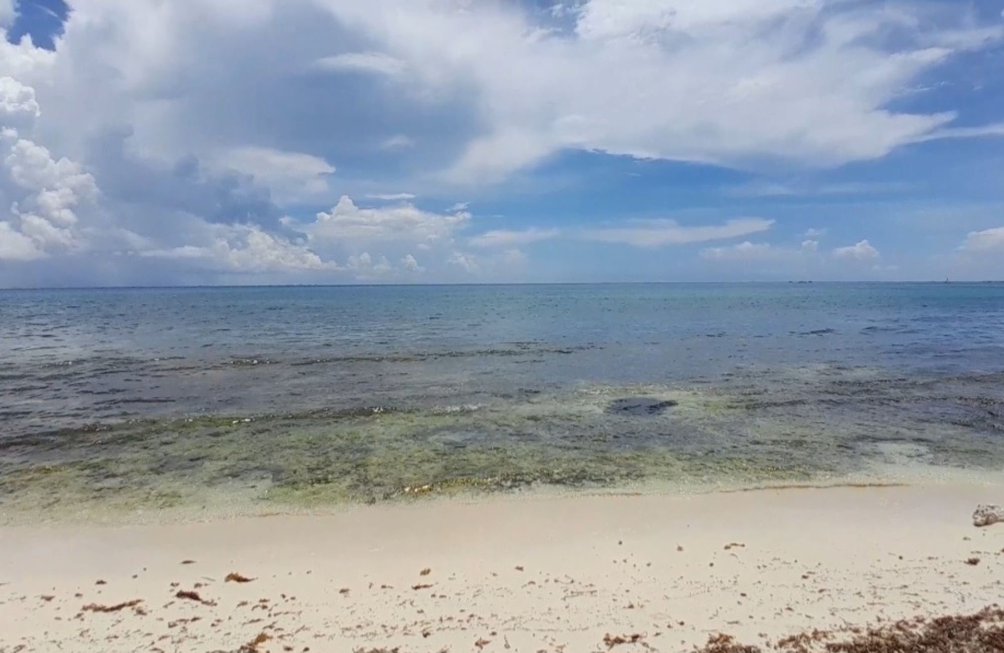 Terreno frente a la playa, uso hotelero, en venta, Punta esmeralda, Playa del Carmen.
