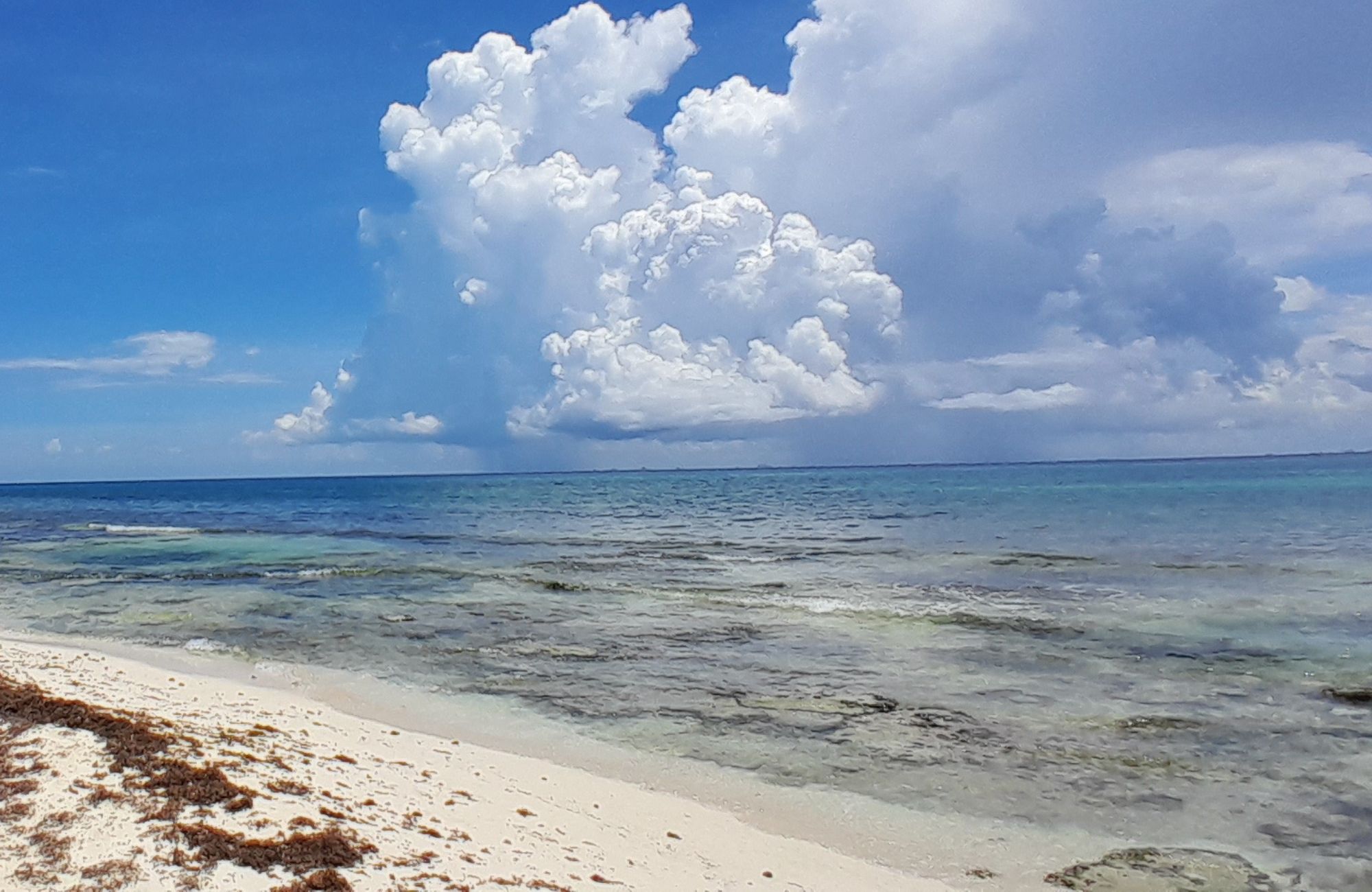 Terreno frente a la playa, uso hotelero, en venta, Punta esmeralda, Playa del Carmen.