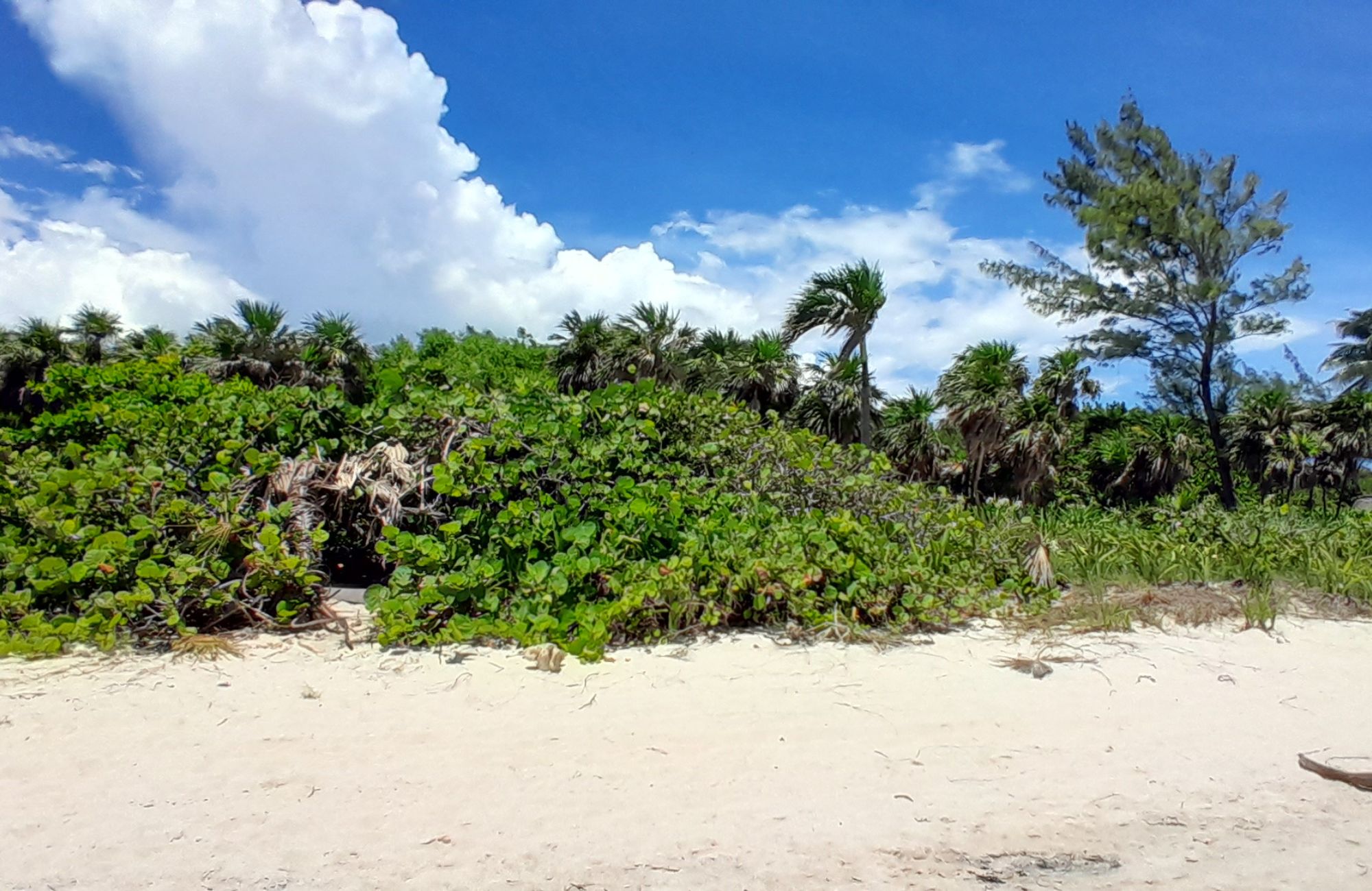Terreno frente a la playa, uso hotelero, en venta, Punta esmeralda, Playa del Carmen.