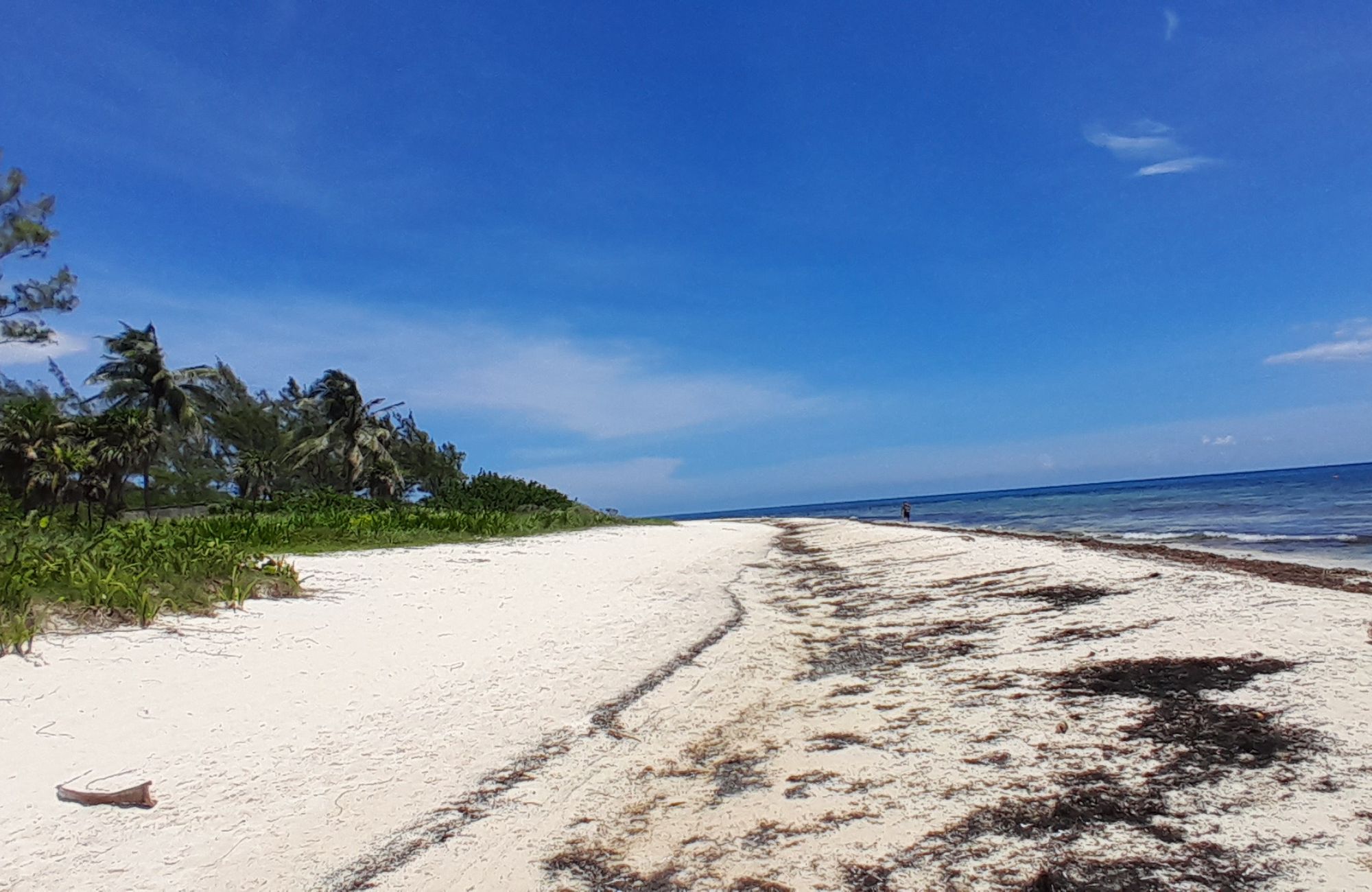 Terreno frente a la playa, uso hotelero, en venta, Punta esmeralda, Playa del Carmen.