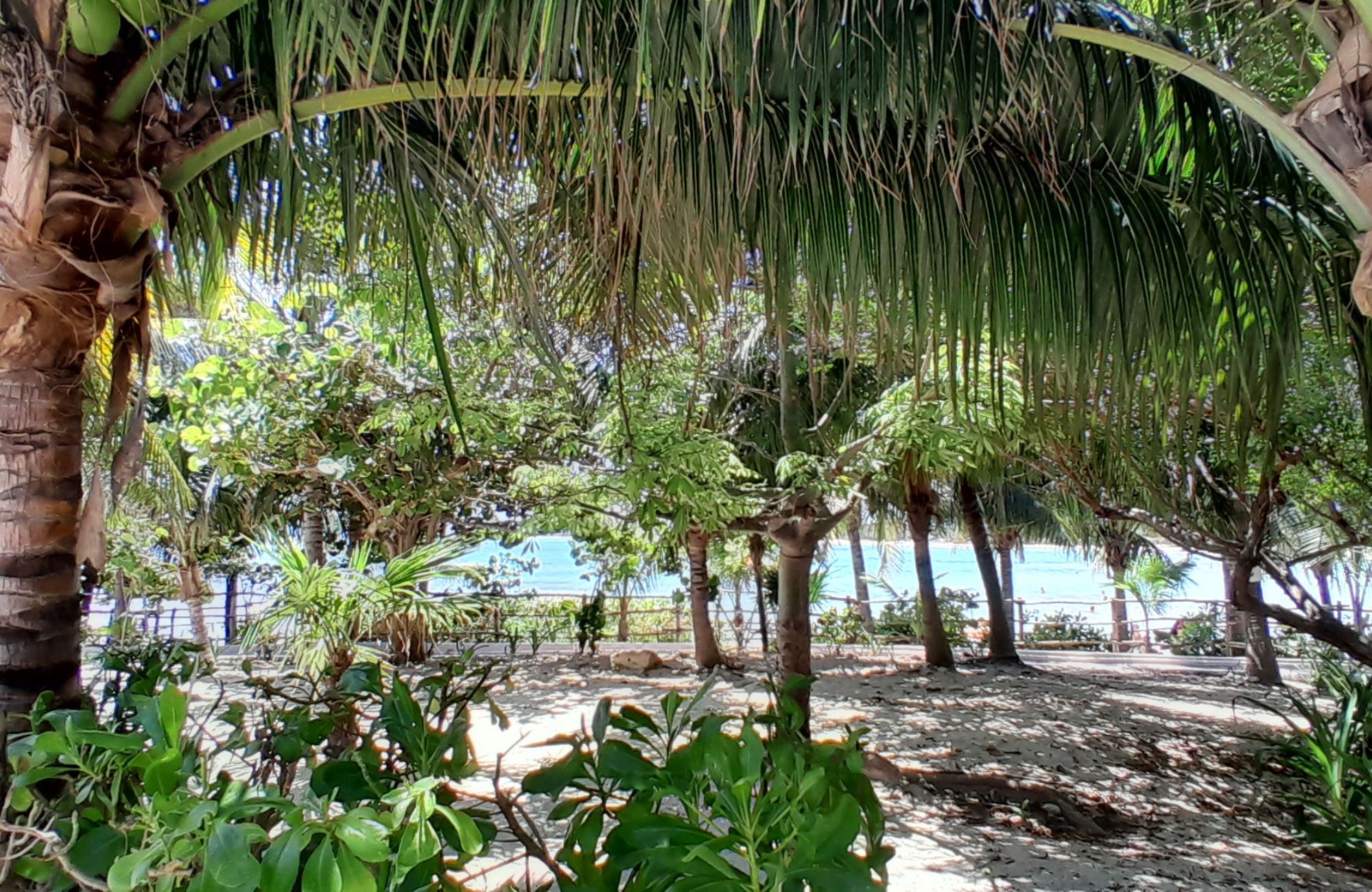 Terreno frente a la playa, uso hotelero, en venta, Punta esmeralda, Playa del Carmen.