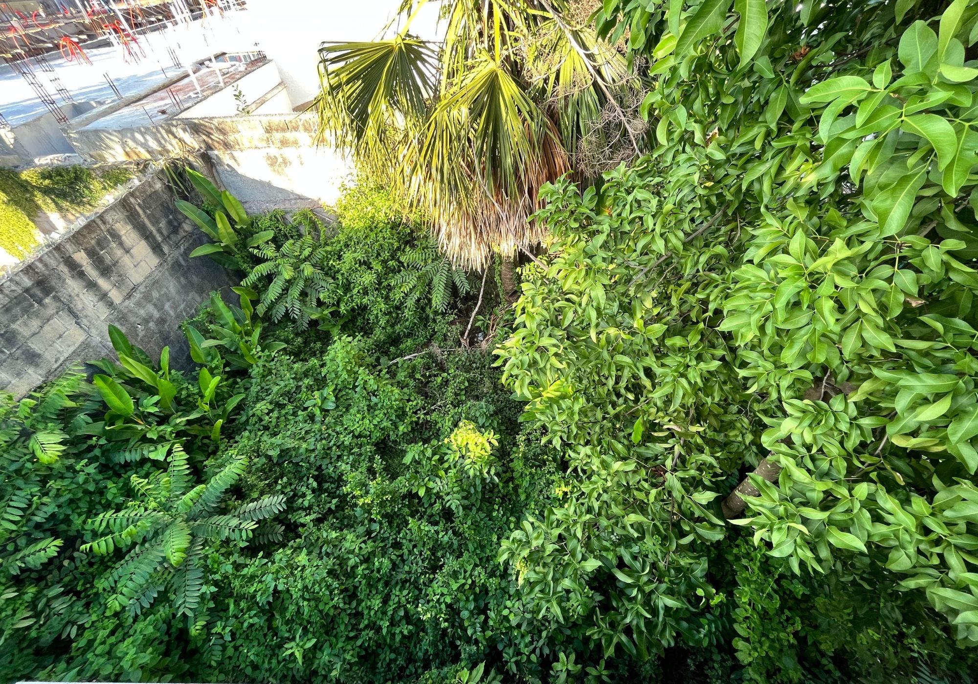 Terreno en Avenida 15, a 450 metros del malec&oacute;n, 2 minutos de la playa, en venta Cozumel Centro.