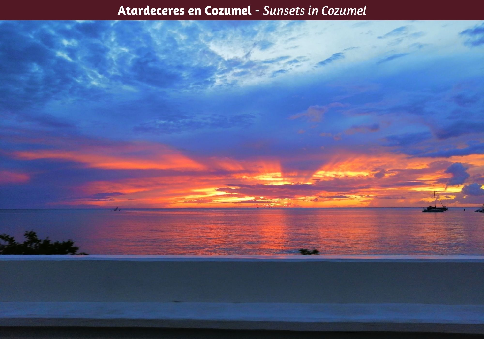 Terreno en Avenida 15, a 450 metros del malec&oacute;n, 2 minutos de la playa, en venta Cozumel Centro.