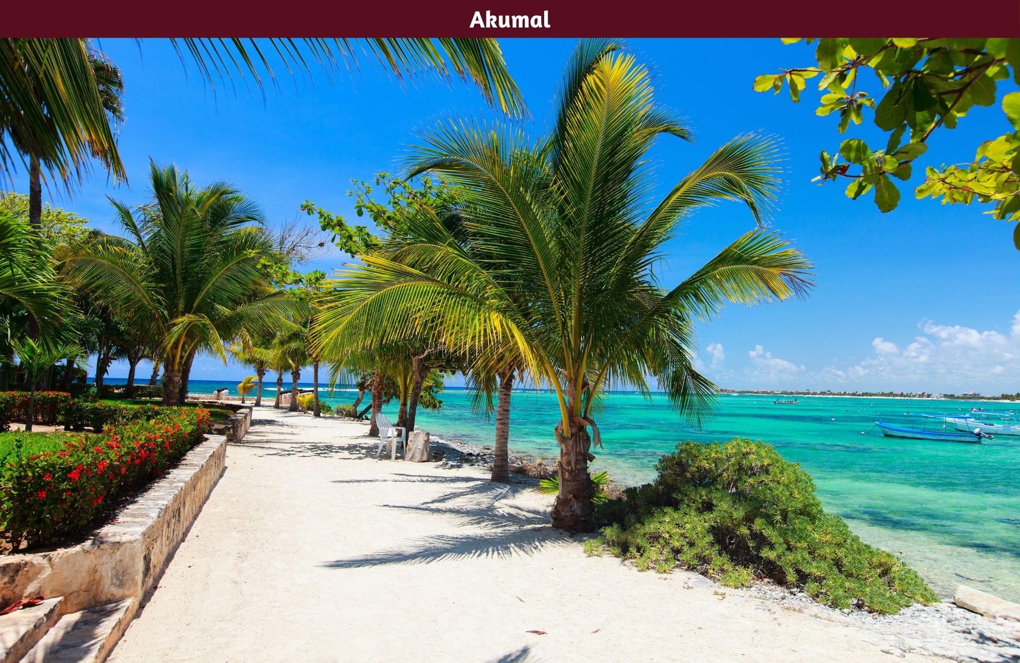 Macro-Lot 39 Ha for Sale in Akumal, Tulum