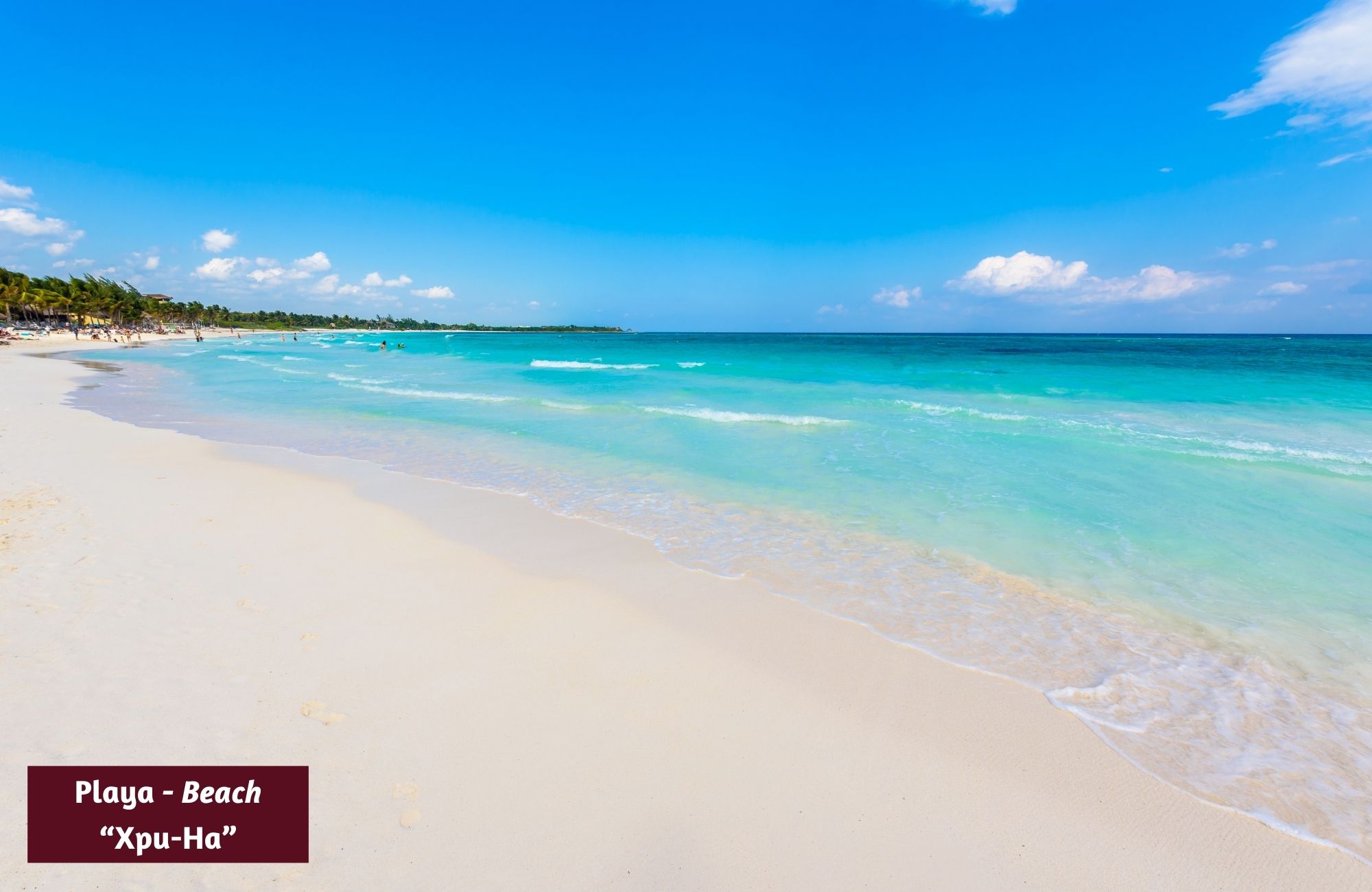 Macro-Lot 39 Ha for Sale in Akumal, Tulum