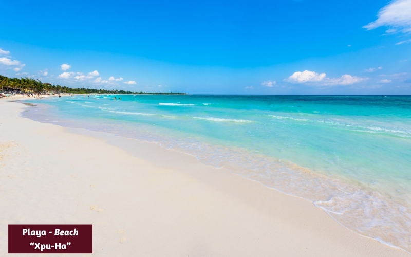 39 Hectares for Developers, Multifamily Land for Sale, Akumal, Tulum