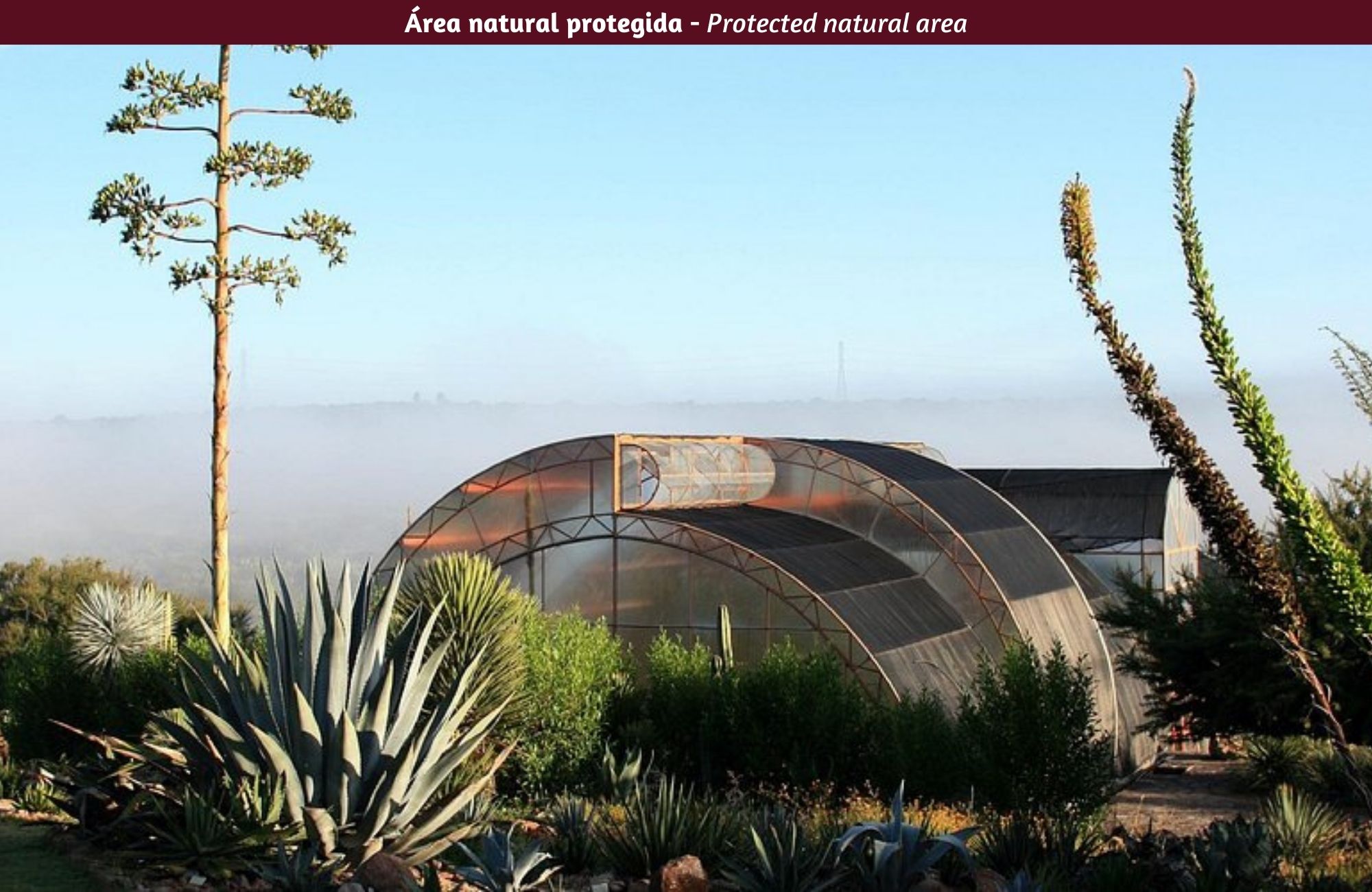 Lote para 67 viviendas en comunidad con campo de golf, en venta, San Miguel de Allende.