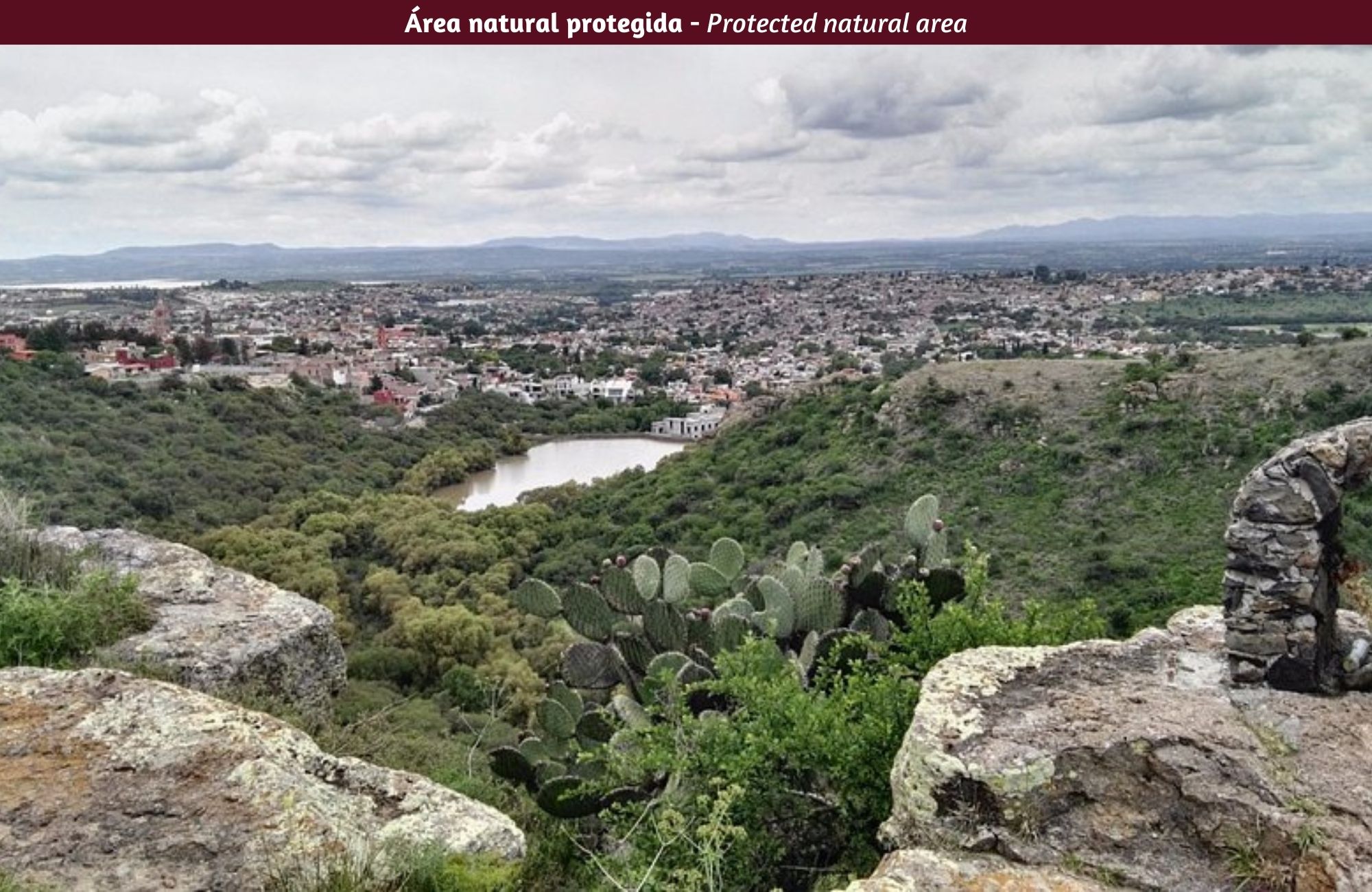 Lote para 33 viviendas con campo de golf, vi&ntilde;edos, en venta, San Miguel de Allende.