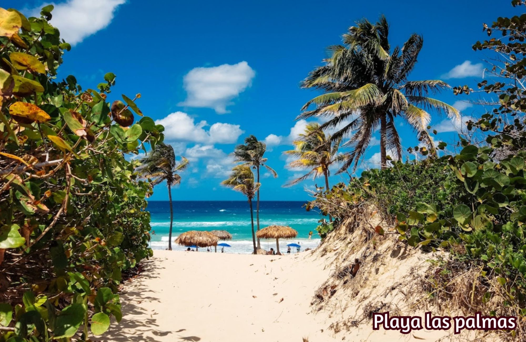Local comercial a la venta en Aldea Zama Tulum