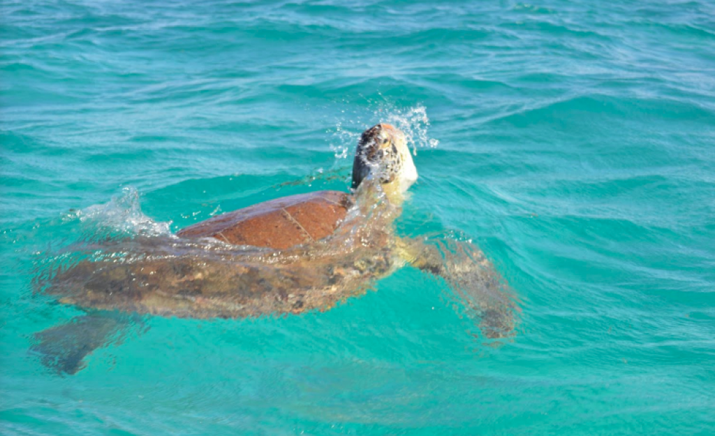 Terreno frente al mar en Siaan Kaan Tulum