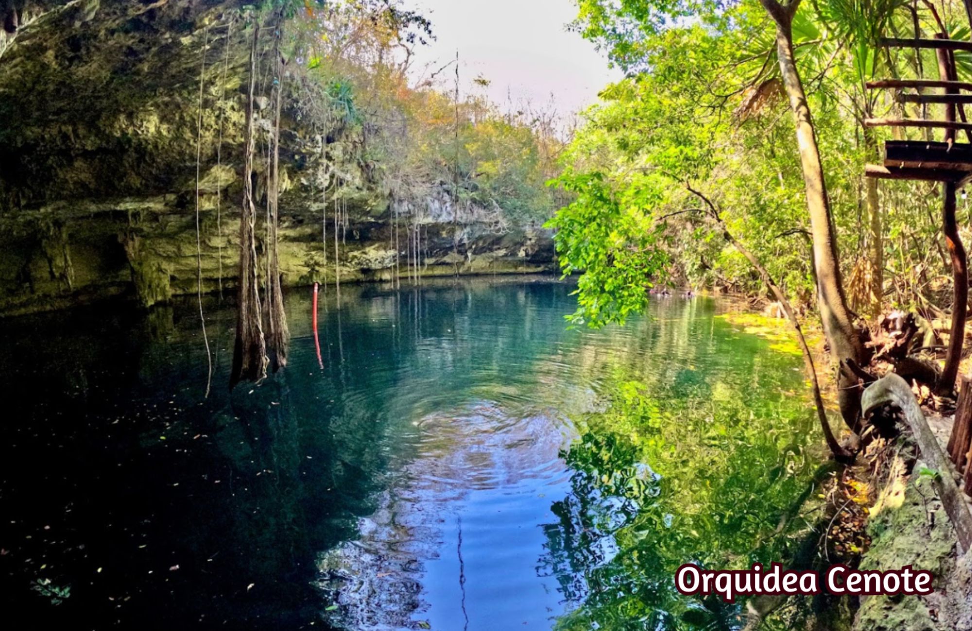 39 Hectares for Developers, Multifamily Land for Sale, Akumal, Tulum