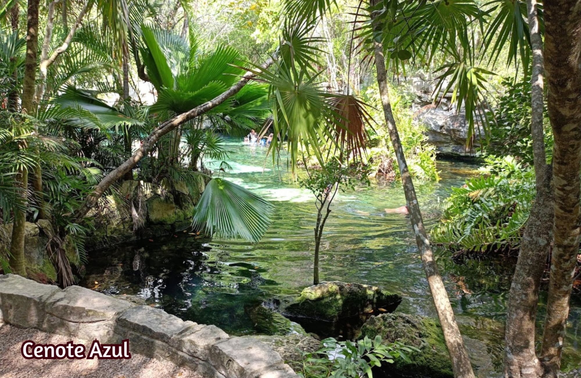 39 Hectares for Developers, Multifamily Land for Sale, Akumal, Tulum