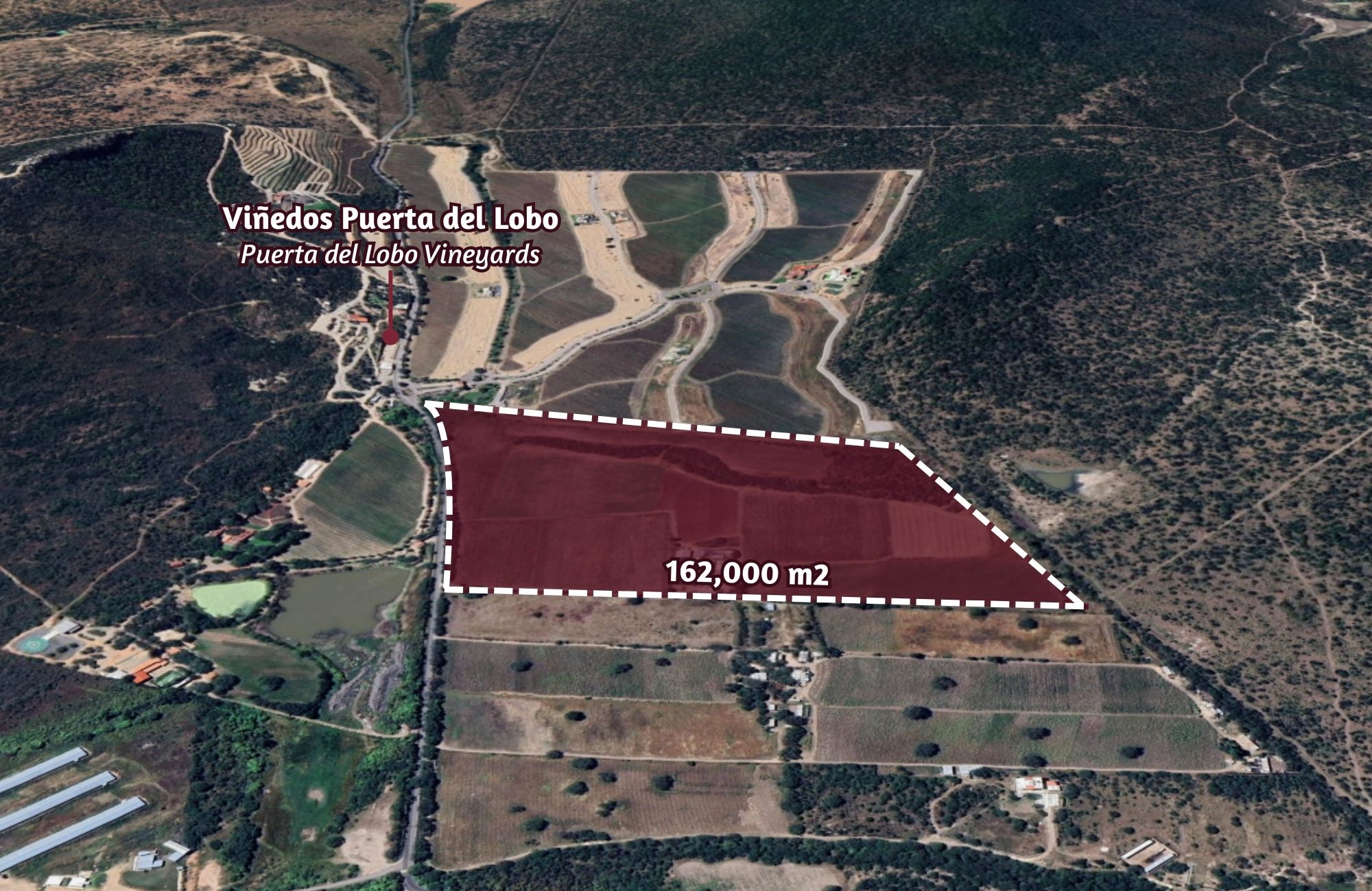 Hect&aacute;reas en venta, uso de suelo Agr&iacute;cola, cerca de vi&ntilde;edos, Quer&eacute;taro