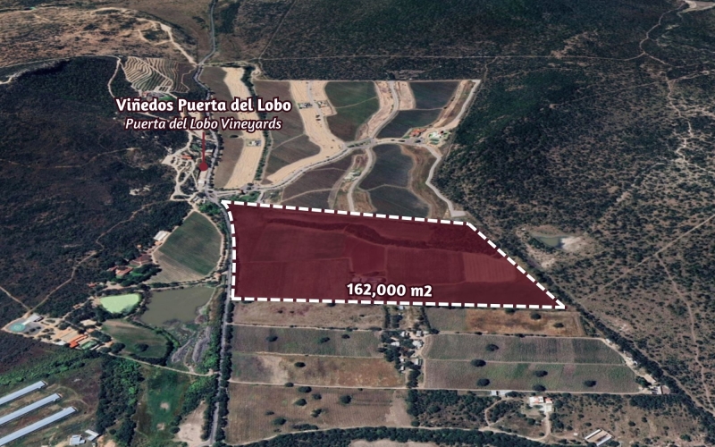 Hect&aacute;reas en venta, uso de suelo Agr&iacute;cola, cerca de vi&ntilde;edos, Quer&eacute;taro