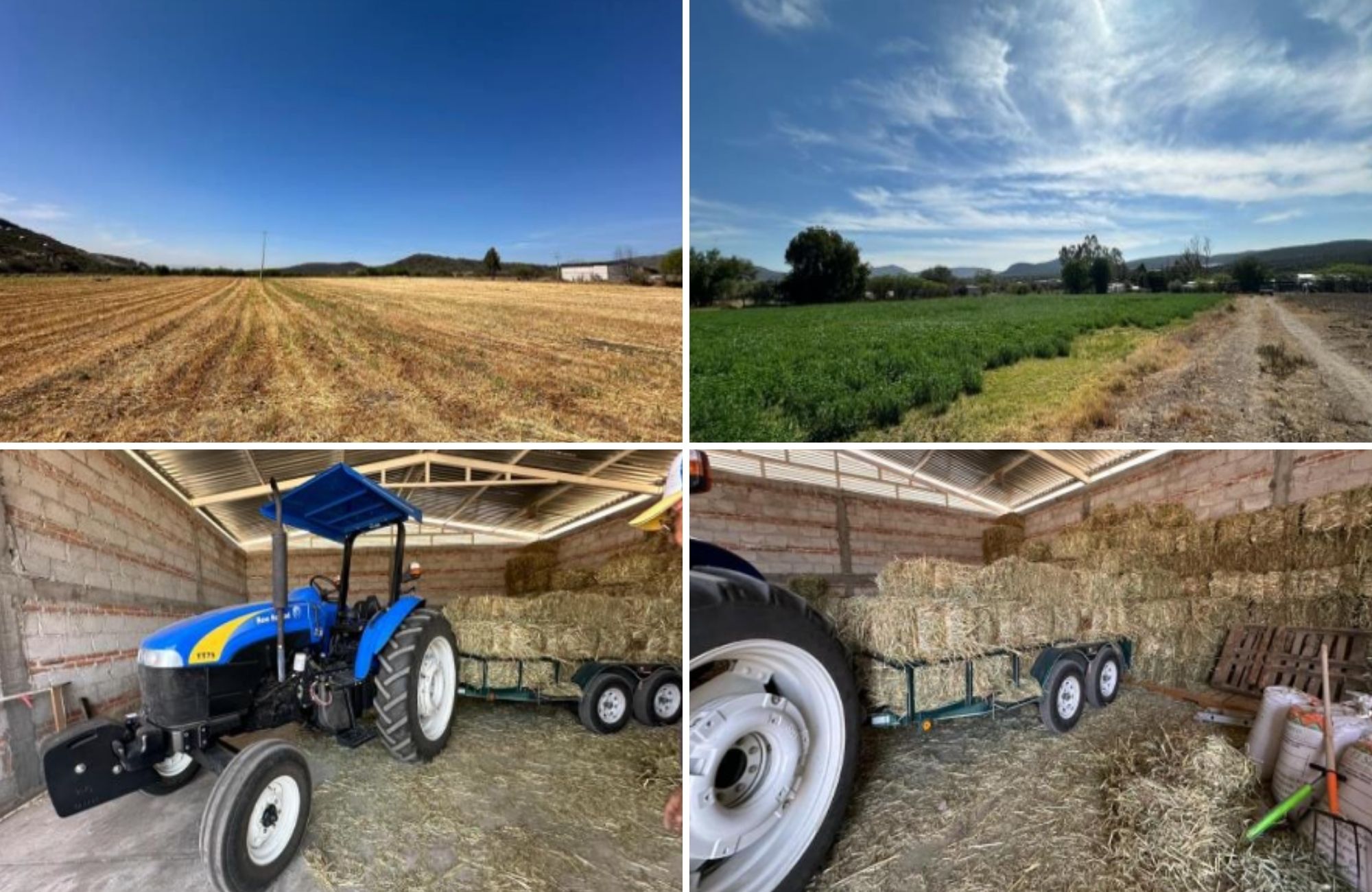 Hect&aacute;reas en venta, uso de suelo Agr&iacute;cola, cerca de vi&ntilde;edos, Quer&eacute;taro