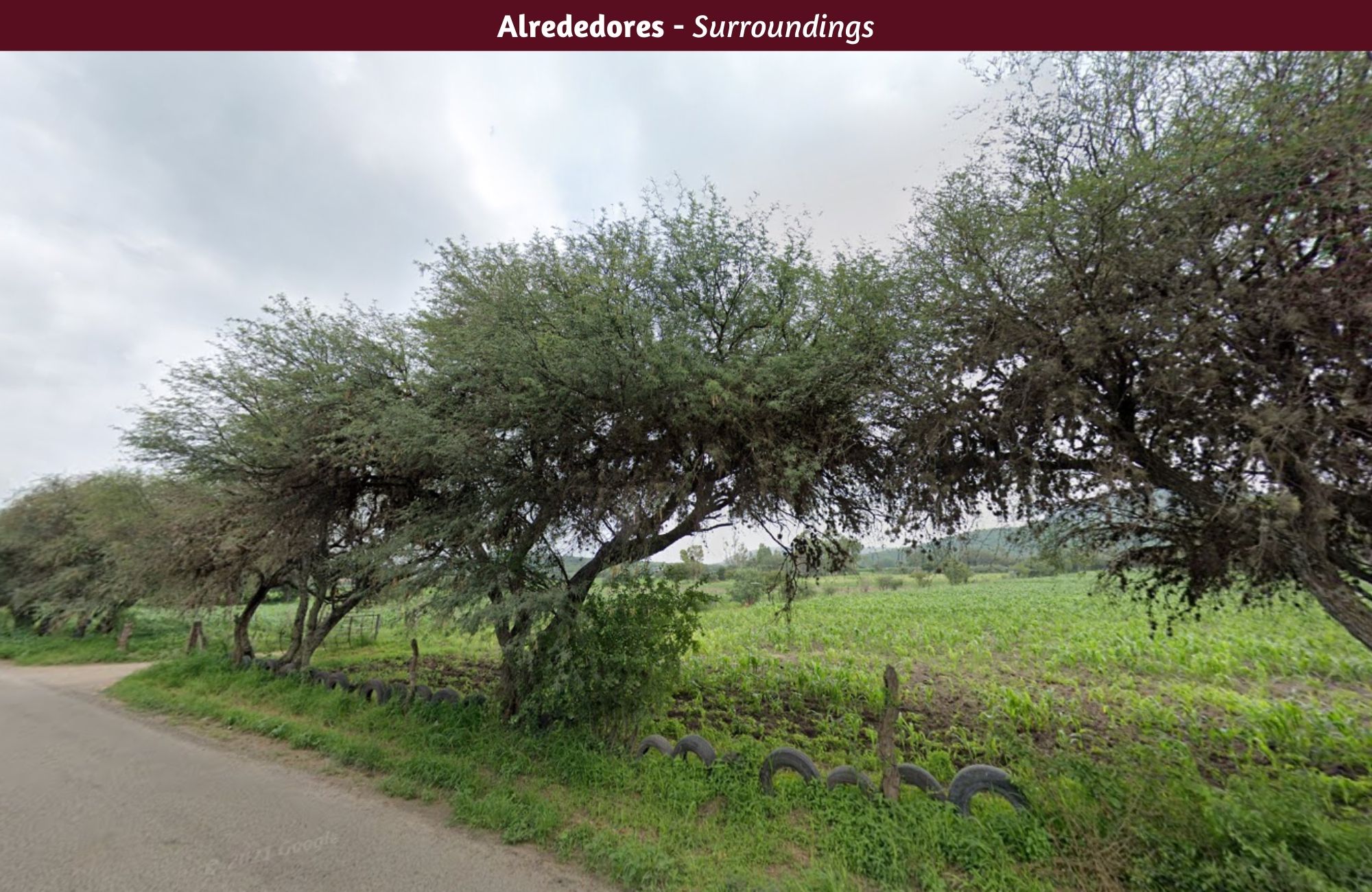 Hect&aacute;reas en venta, uso de suelo Agr&iacute;cola, cerca de vi&ntilde;edos, Quer&eacute;taro