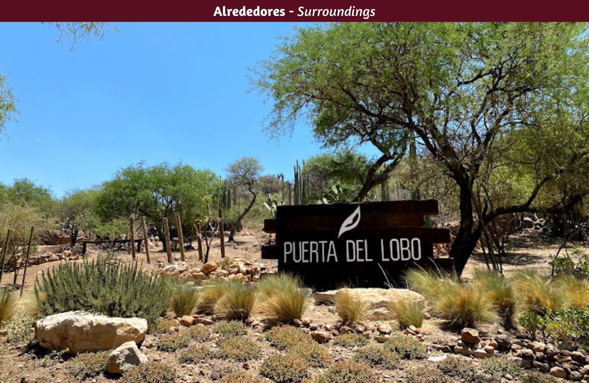 Hect&aacute;reas en venta, uso de suelo Agr&iacute;cola, cerca de vi&ntilde;edos, Quer&eacute;taro