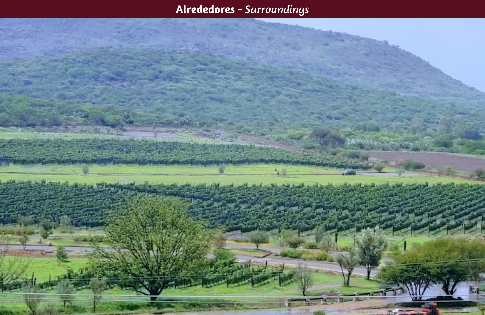 Hect&aacute;reas en venta, uso de suelo Agr&iacute;cola, cerca de vi&ntilde;edos, Quer&eacute;taro