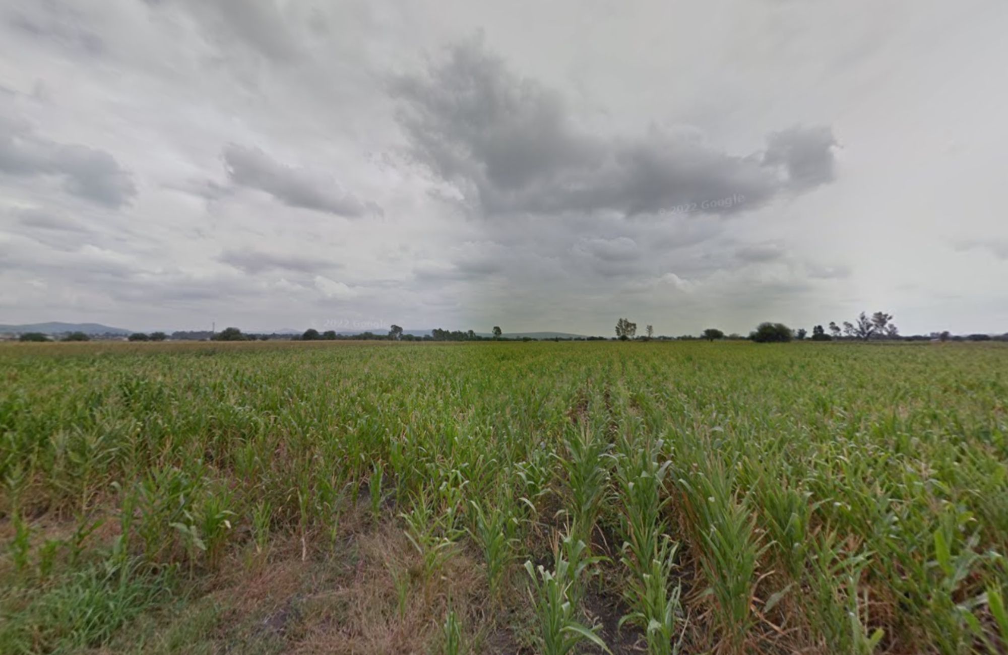 8 hect&aacute;reas, uso de suelo industrial, en venta, San Pedro Zacatenco, Quer&eacute;taro