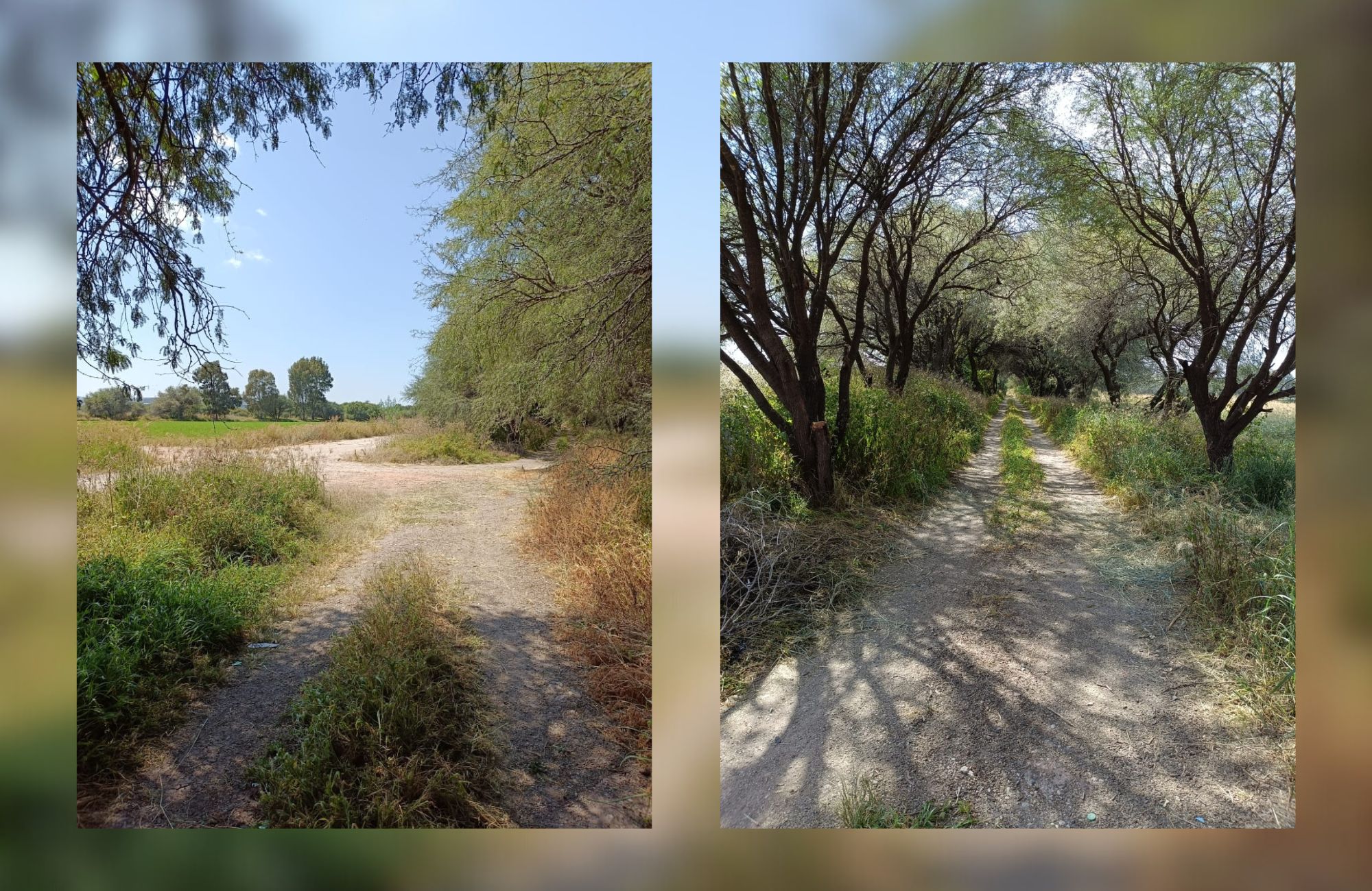 8 hect&aacute;reas, uso de suelo industrial, en venta, San Pedro Zacatenco, Quer&eacute;taro