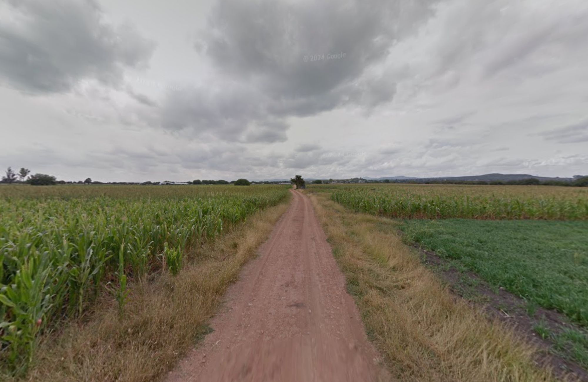 8 hect&aacute;reas, uso de suelo Agr&iacute;cola, en venta, San Pedro Zacatenco, Quer&eacute;taro