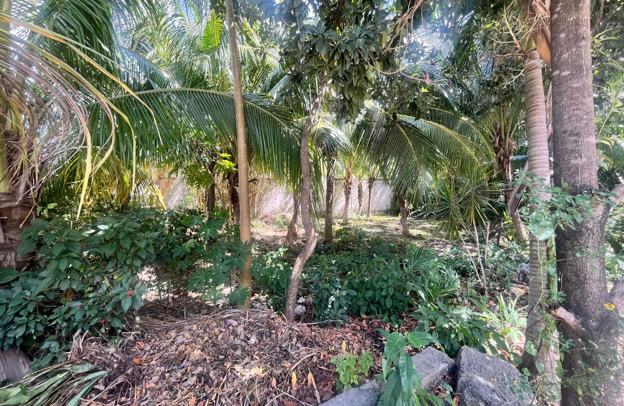 Terreno uso de suelo comercial, en venta 65 Avenida, Cozumel