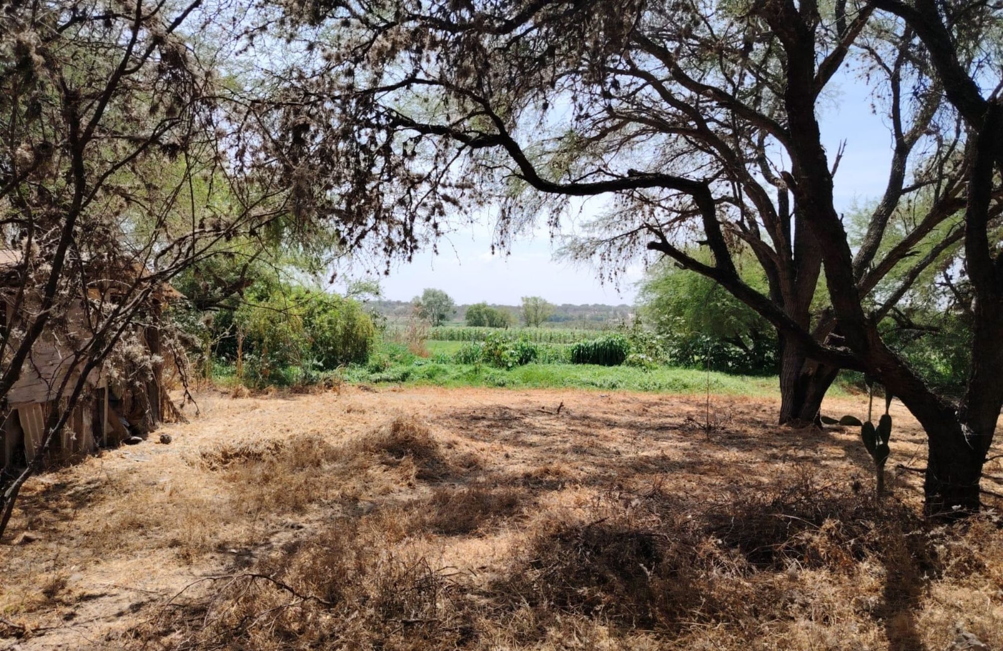 Lote multifamiliar en venta en El Mirador, San Miguel de Allende.