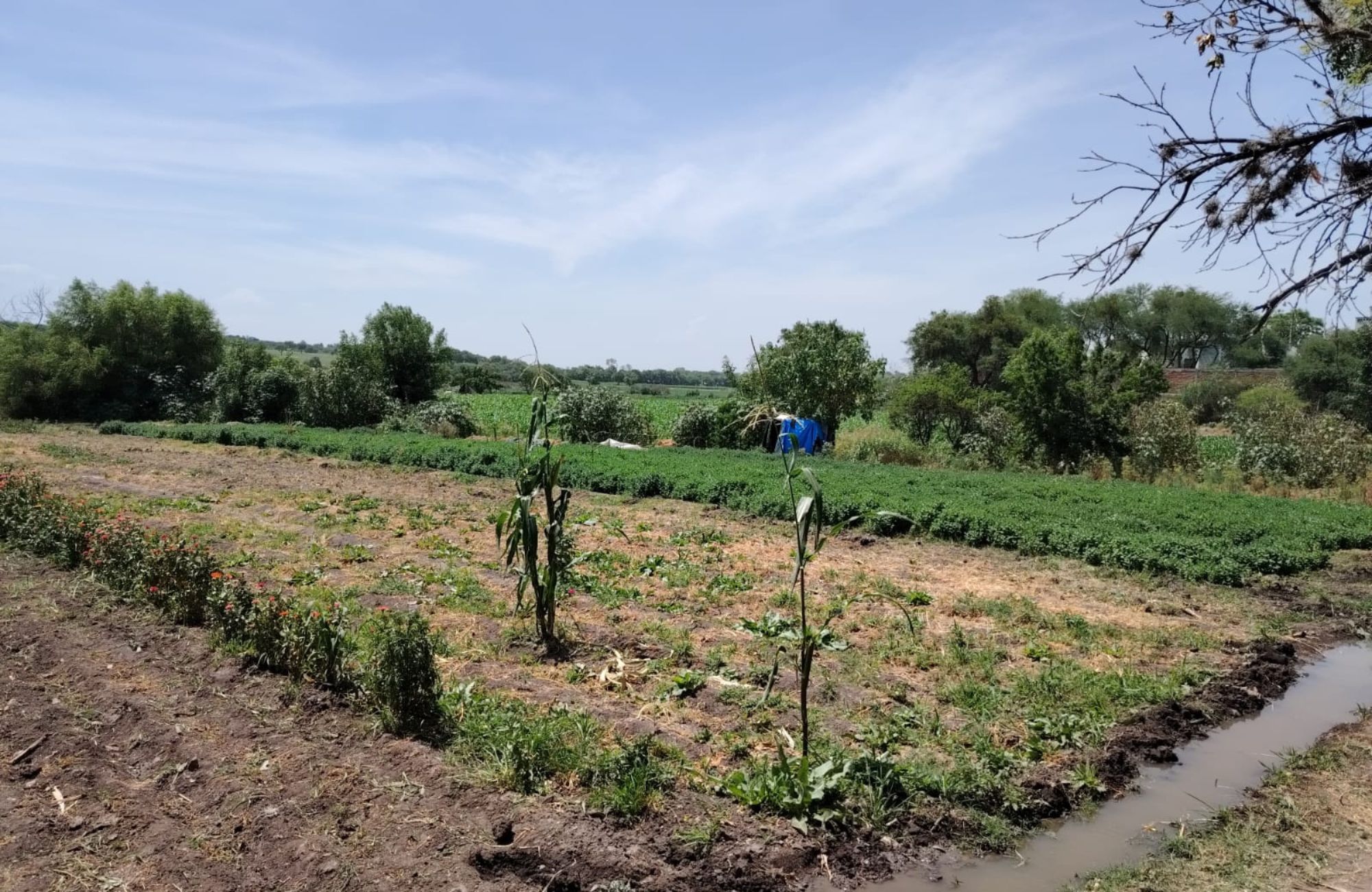 Lote multifamiliar en venta en El Mirador, San Miguel de Allende.
