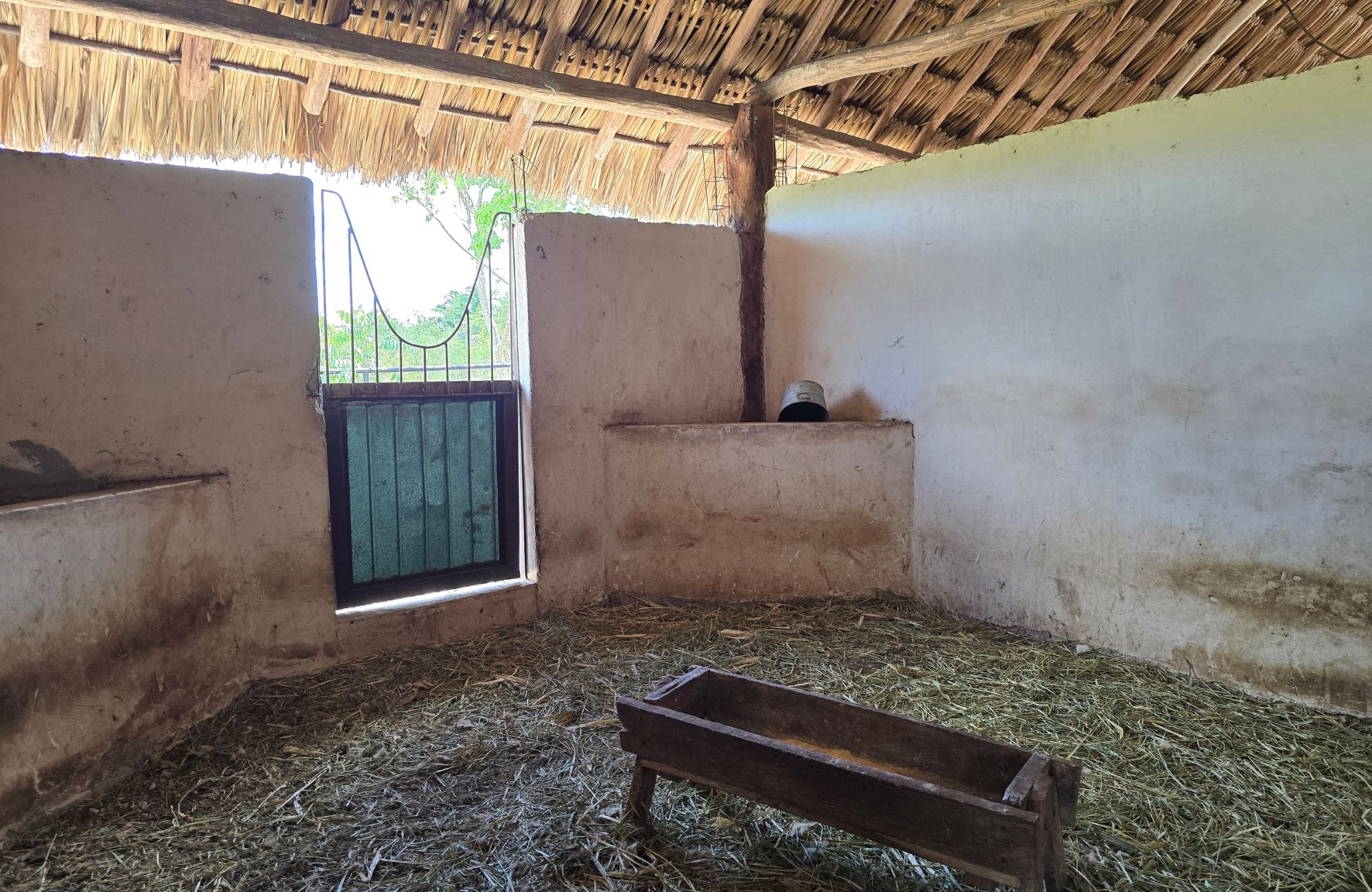 98-Hectare Ranch with Boutique Hotel and Amenities for Sale, Panab&aacute;, Yucat&aacute;n