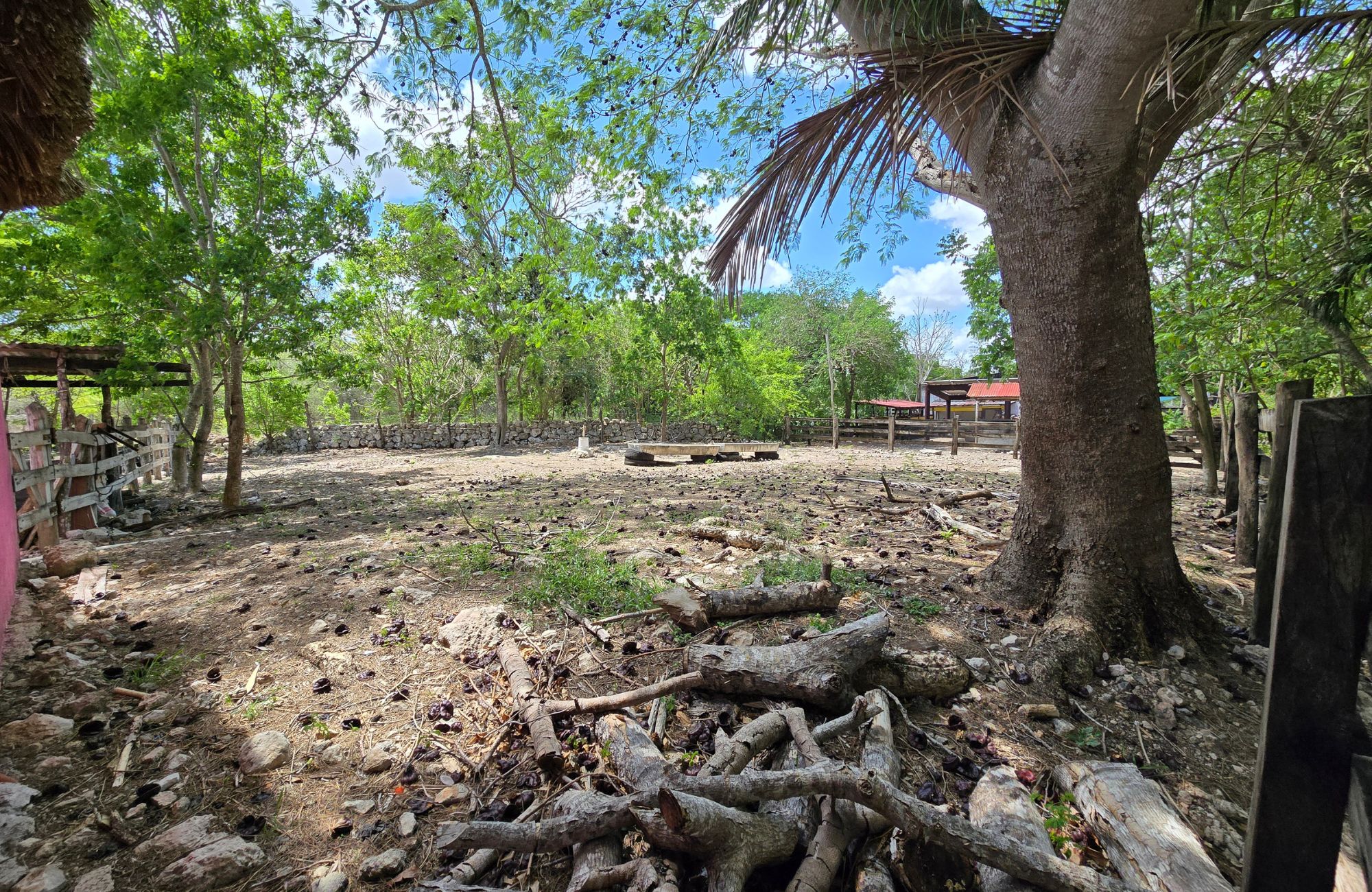 98-Hectare Ranch with Boutique Hotel and Amenities for Sale, Panab&aacute;, Yucat&aacute;n