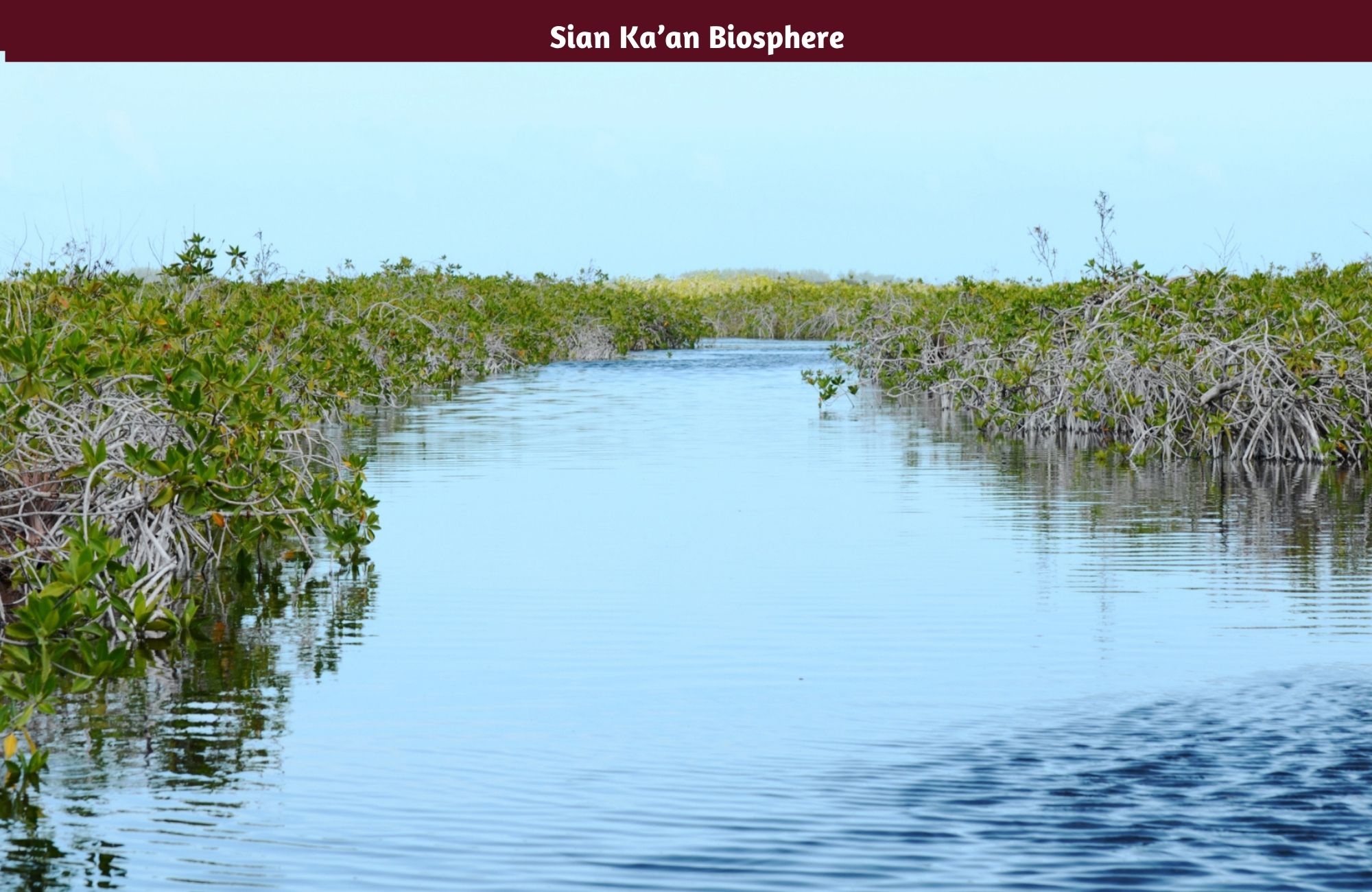 Oceanfront Lot with 28 Meters of Frontage for Sale in Mahahual