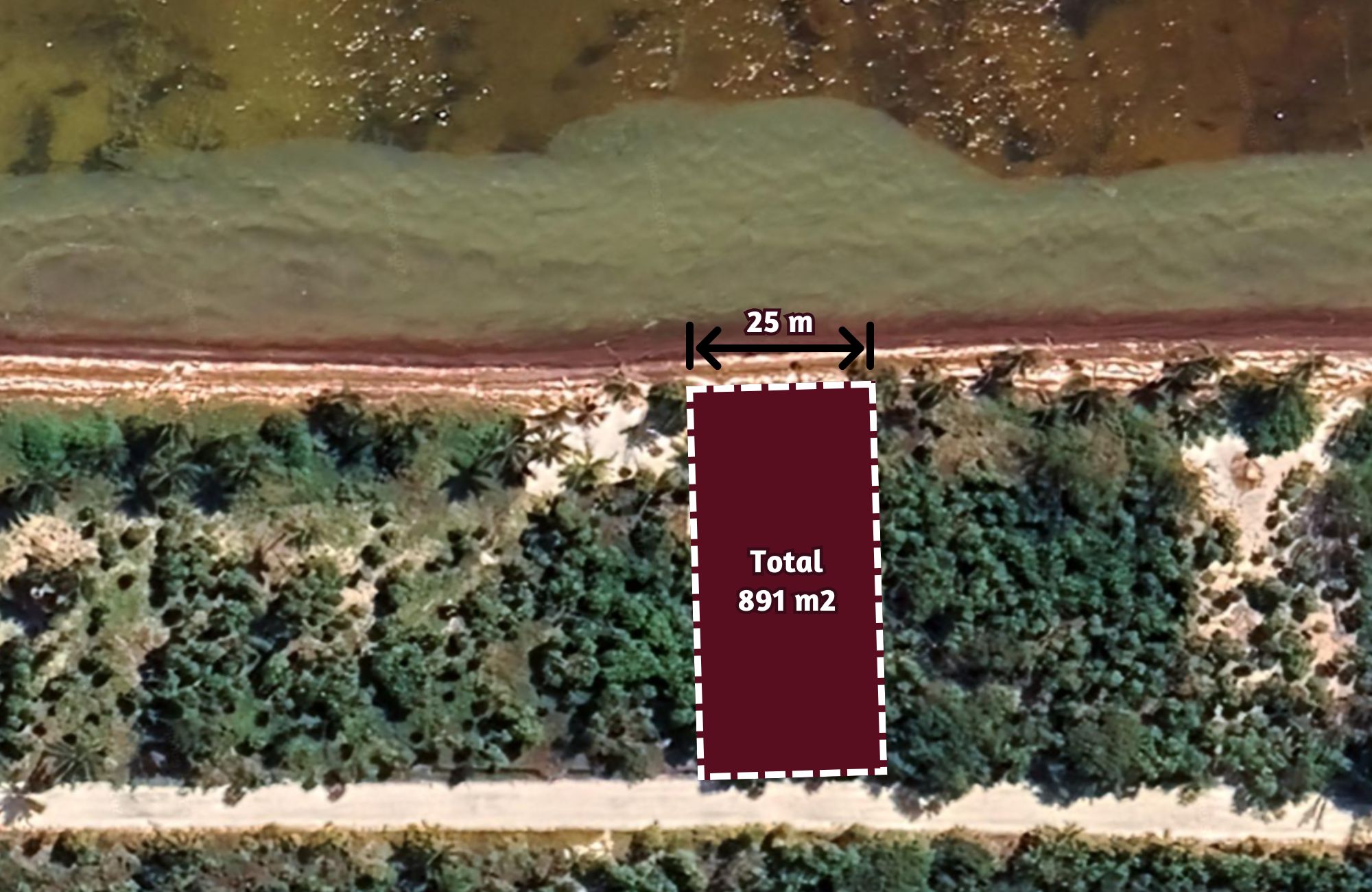 Oceanfront Lot with 28 Meters of Frontage for Sale in Mahahual