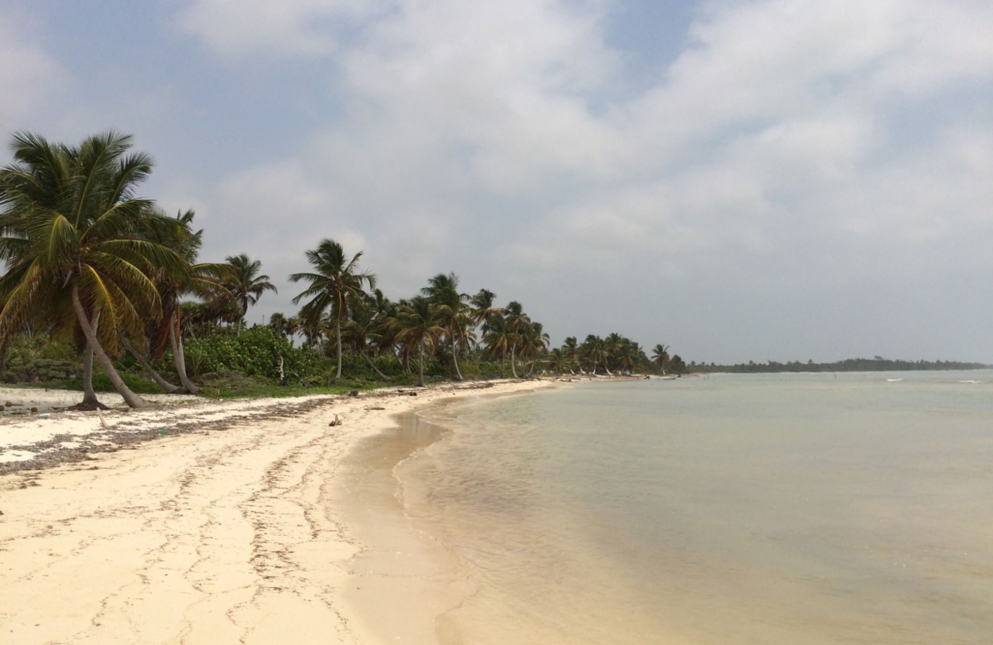 Oceanfront Lot with 28 Meters of Frontage for Sale in Mahahual