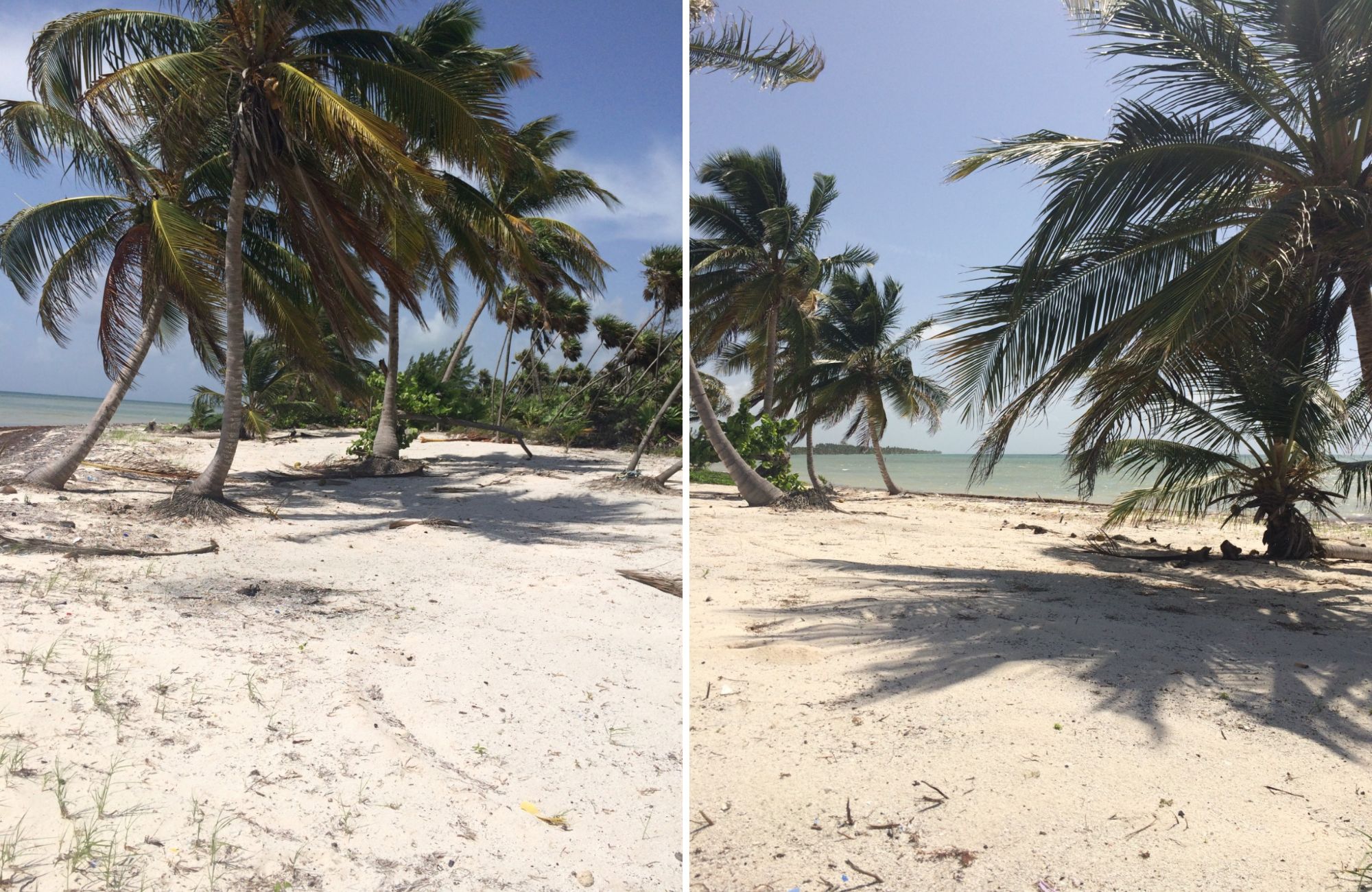 Oceanfront Lot with 28 Meters of Frontage for Sale in Mahahual