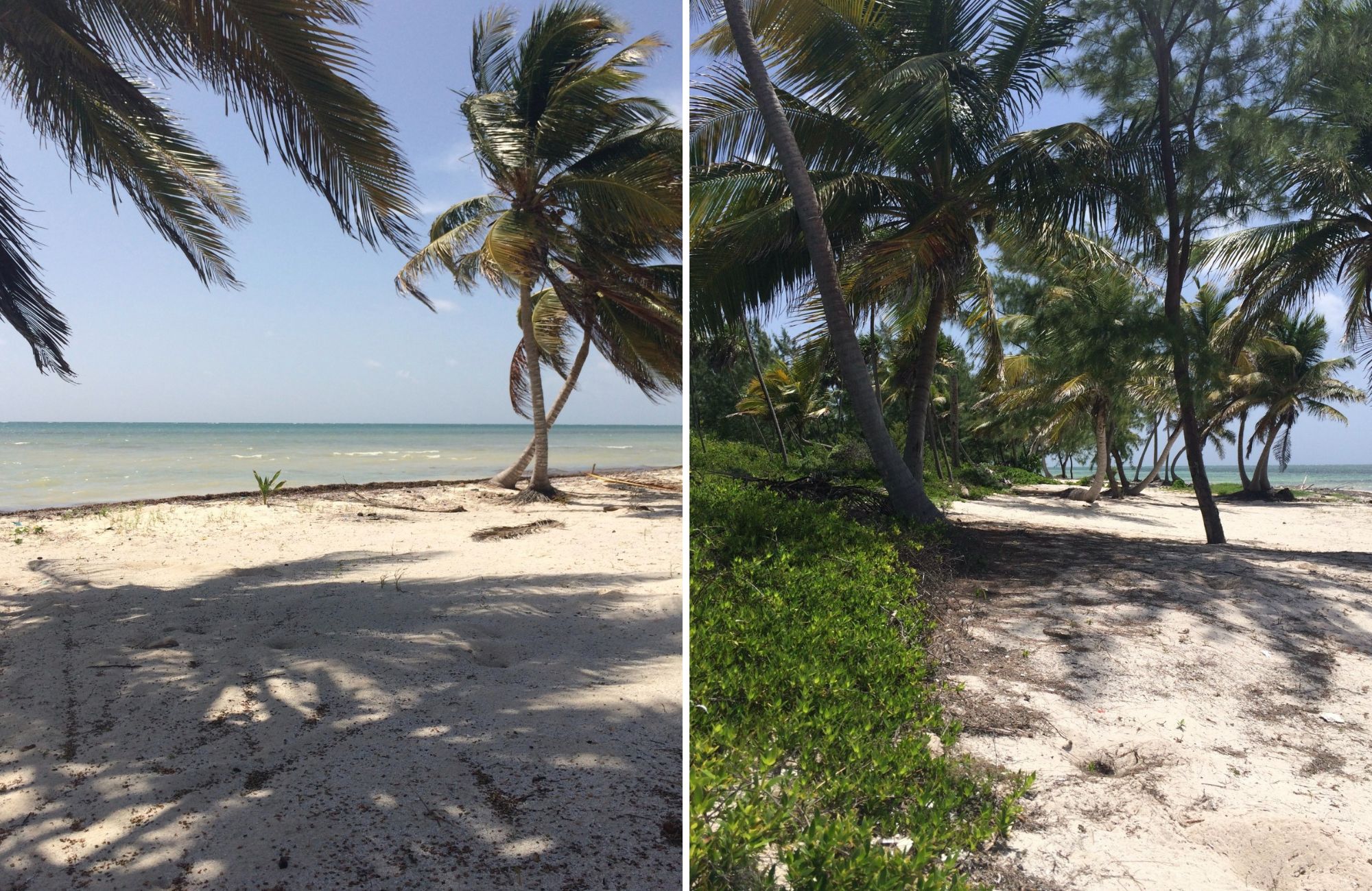 Oceanfront Lot with 28 Meters of Frontage for Sale in Mahahual
