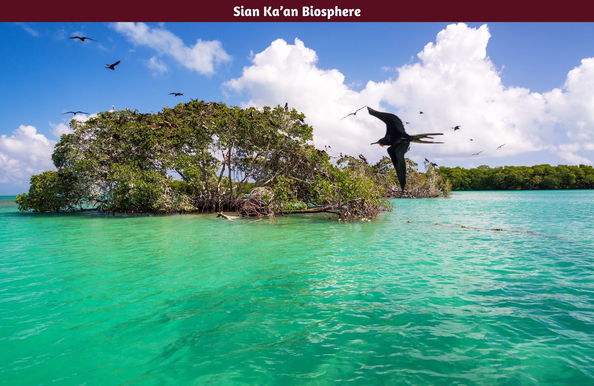 Oceanfront lot with 25 Meters of Frontage for Sale in Mahahual