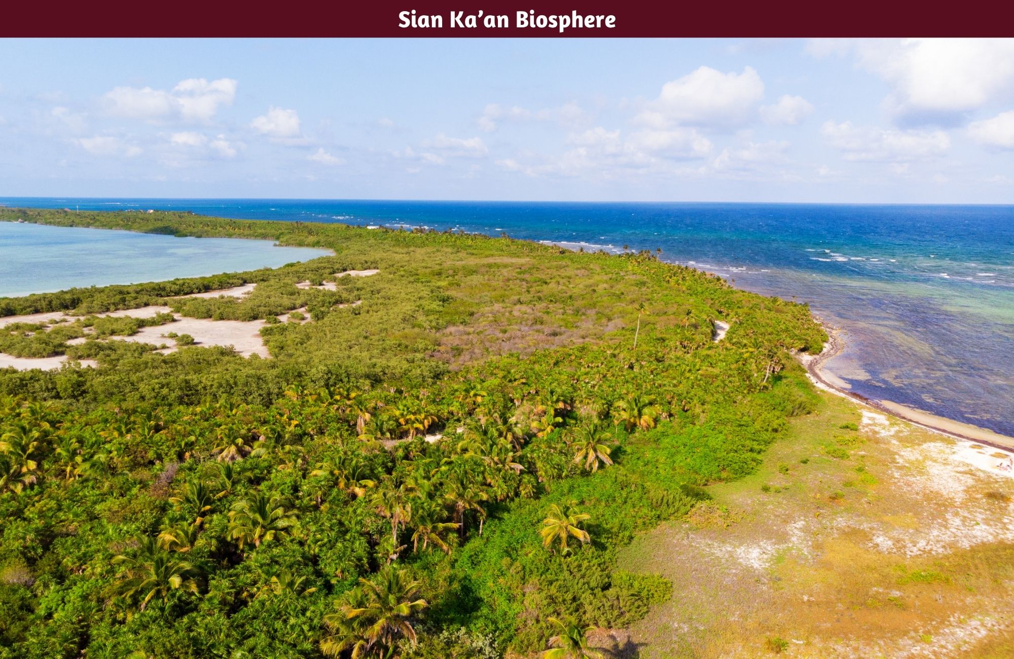 Oceanfront lot with 25 Meters of Frontage for Sale in Mahahual