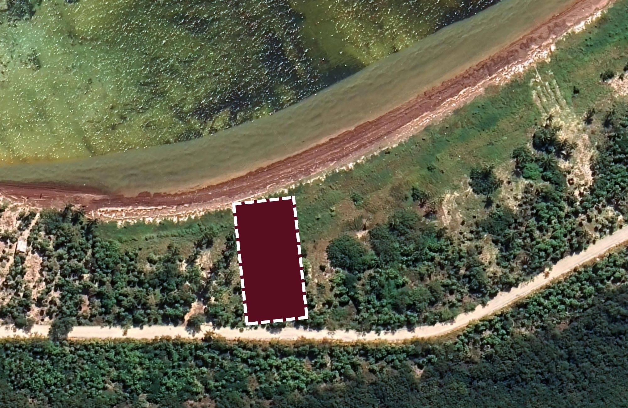 Oceanfront lot with 25 Meters of Frontage for Sale in Mahahual