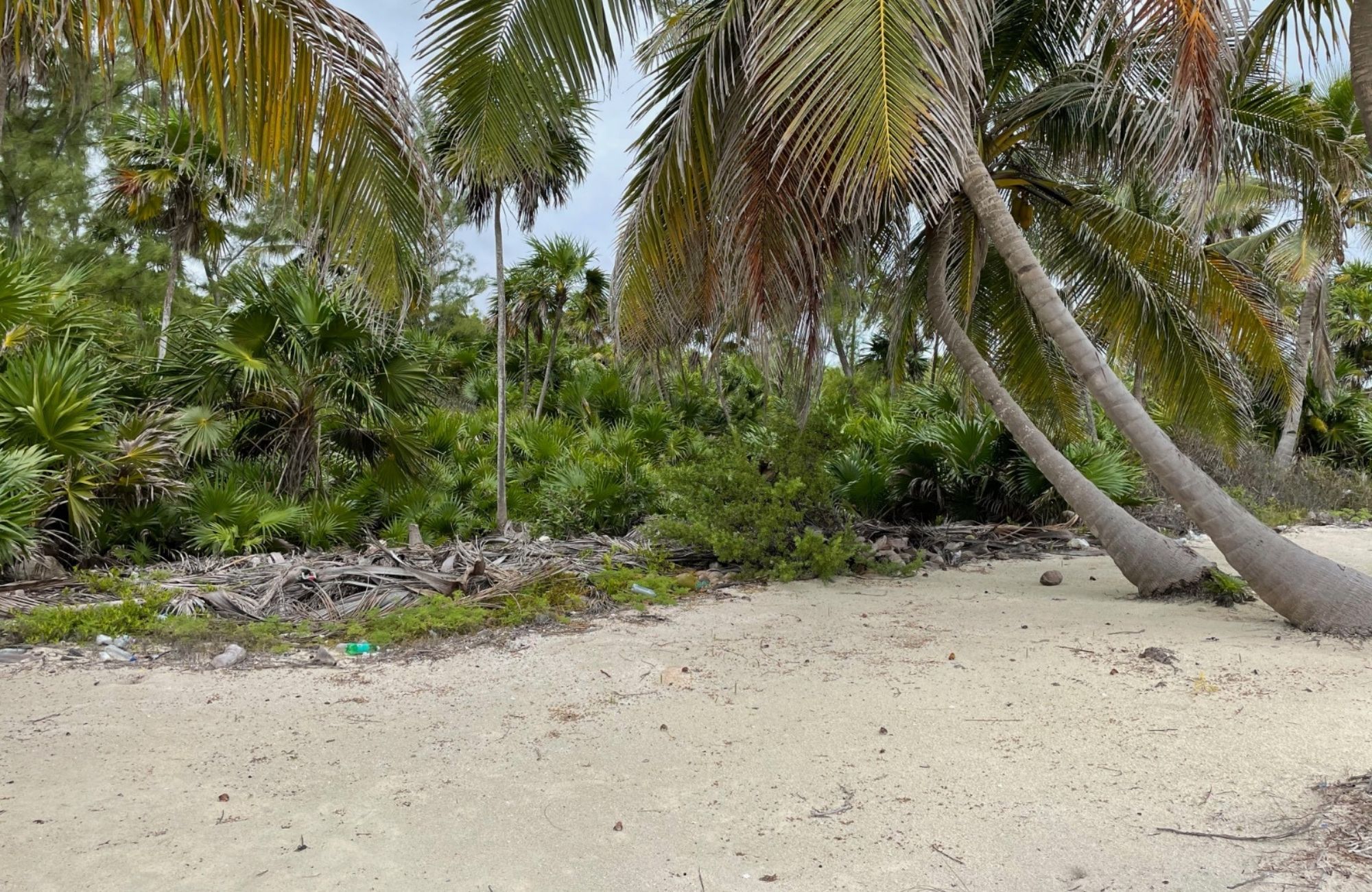 Oceanfront lot with 25 Meters of Frontage for Sale in Mahahual