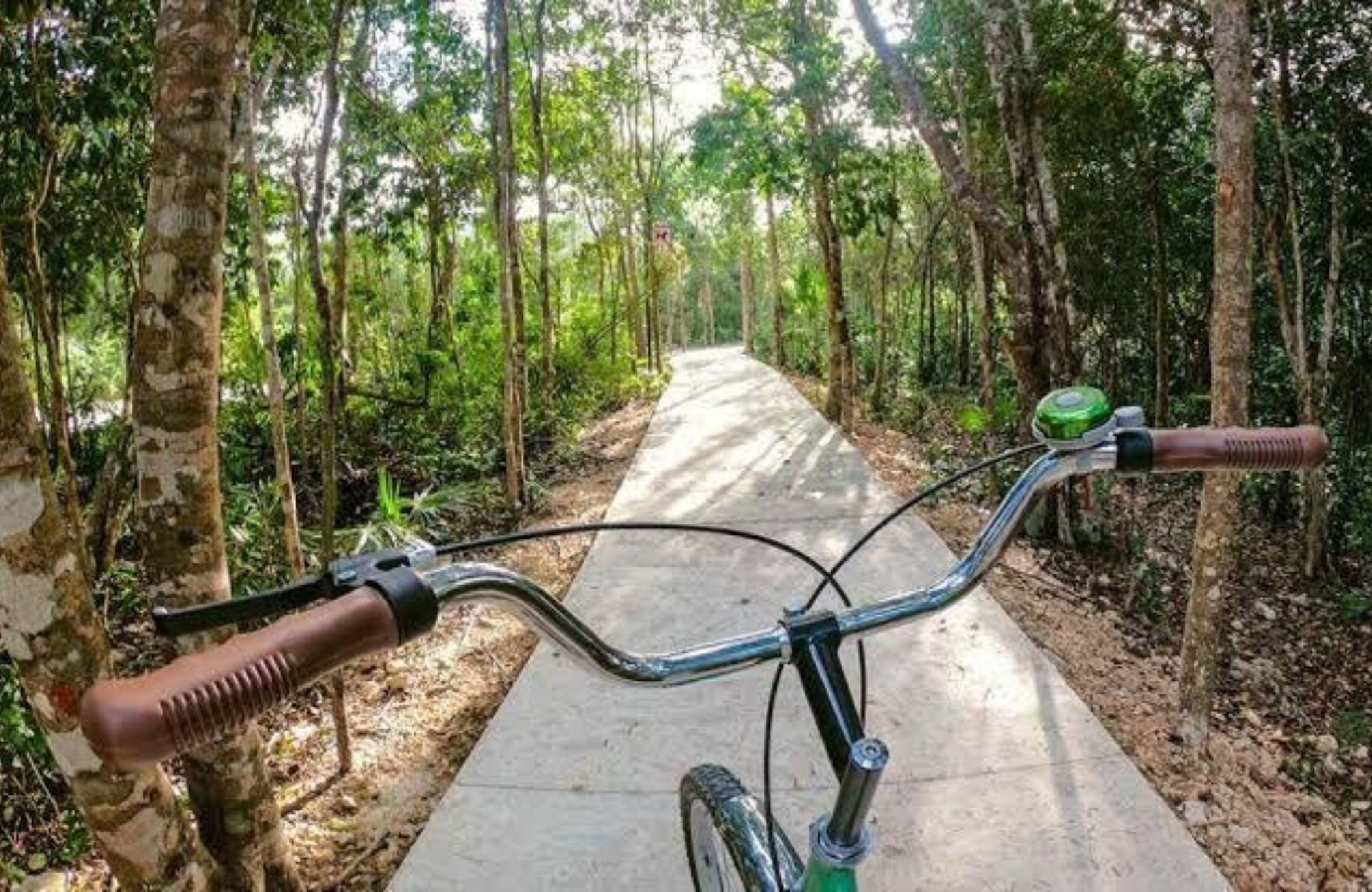 Macrolote multifamiliar, amenidades, en venta, Ciudad Mayakoba Playa del Carmen