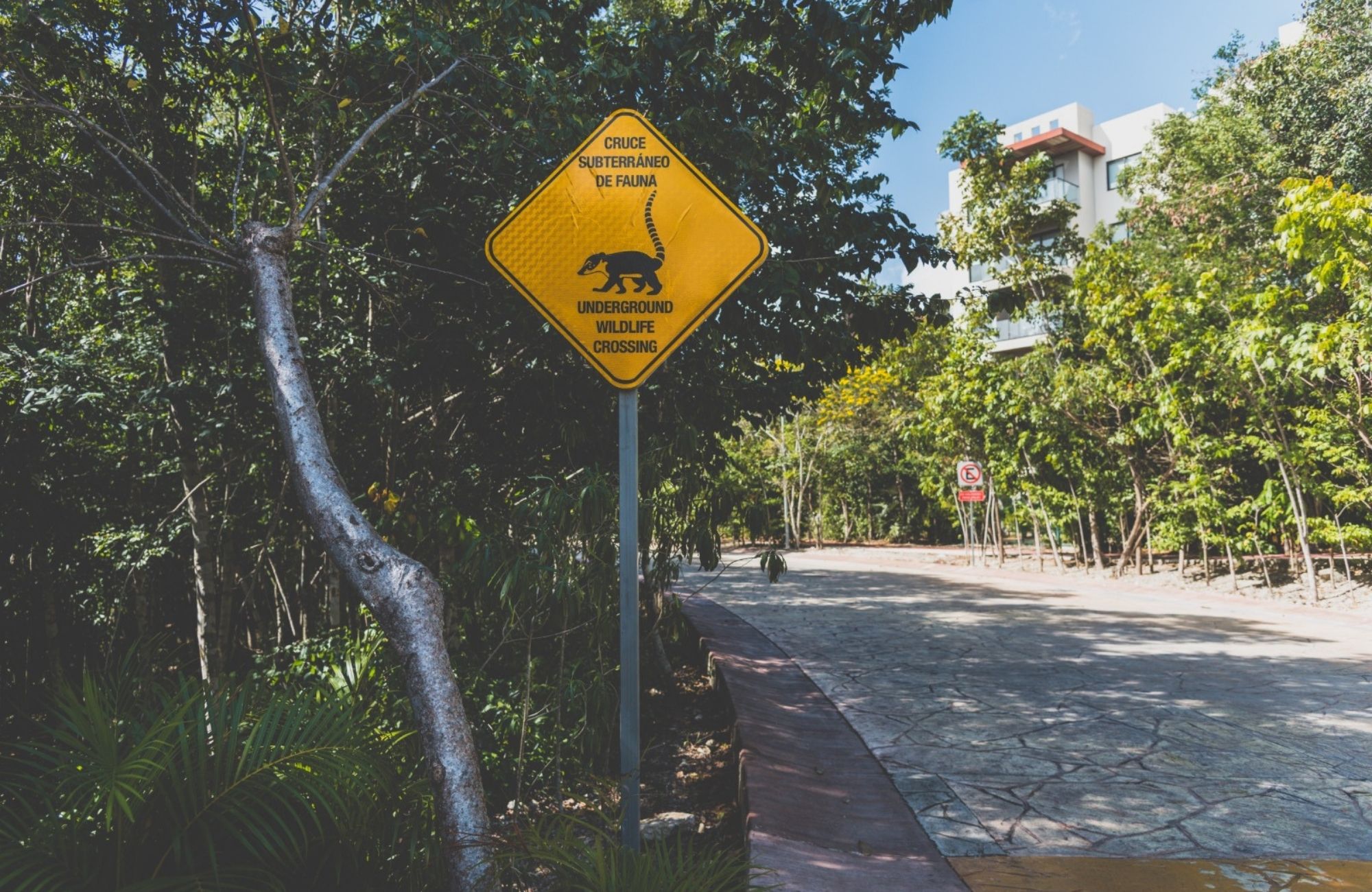 Lote multifamiliar en Comunidad privada, en venta Playa del Carmen.