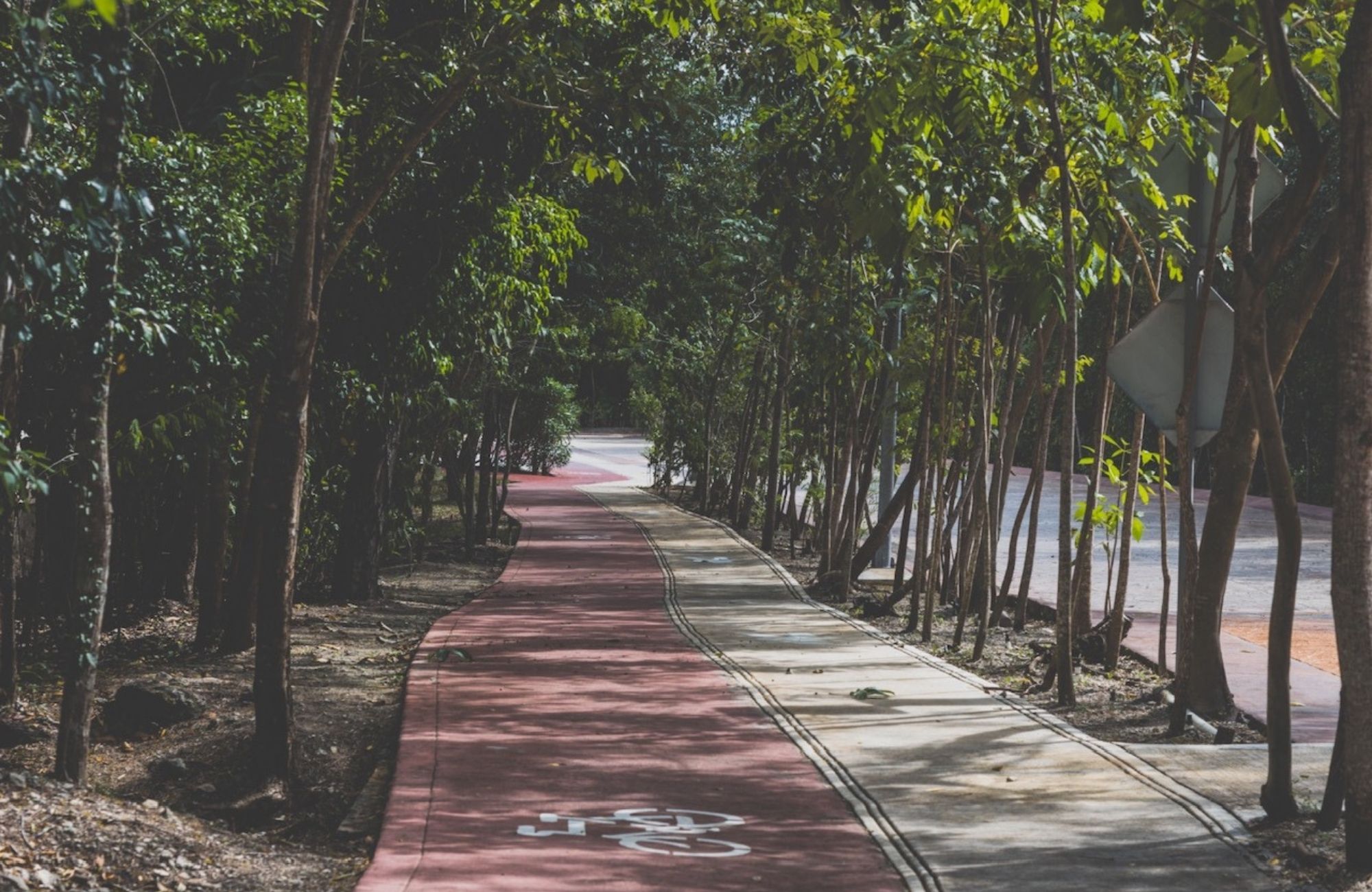 Macrolote multifamiliar, amenidades, en venta, Ciudad Mayakoba Playa del Carmen