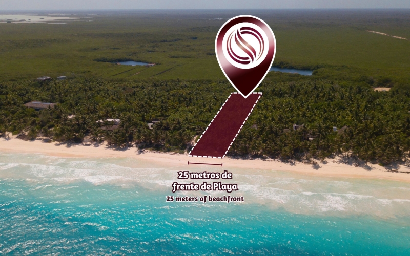 Oceanfront Macrolot with 25 Meters of Frontage for Sale in Tulum
