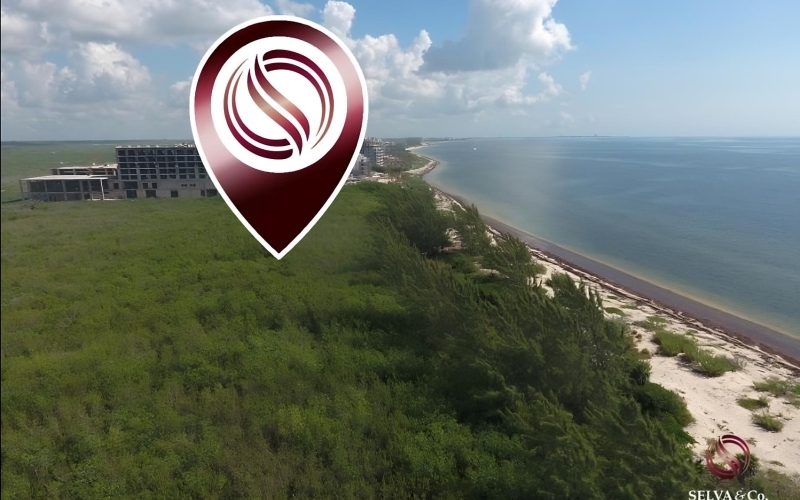 Terreno hotelero con 605 metros de playa, en venta, Puerto Morelos.