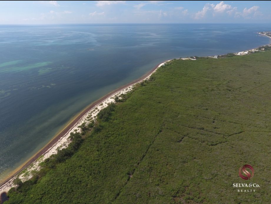 Terreno hotelero con 605 metros de playa, en venta, Puerto Morelos.