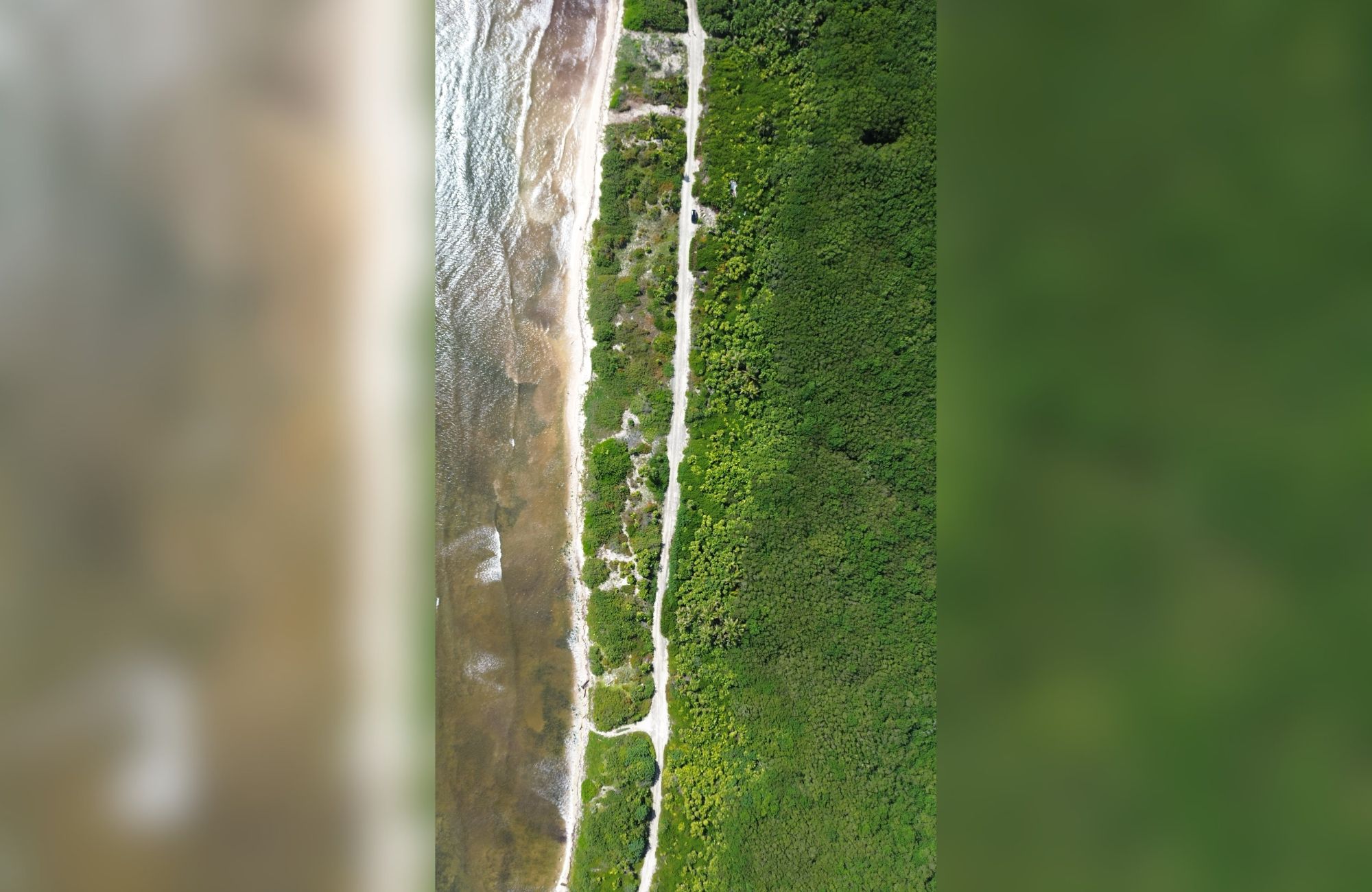 Beachfront lot with beach club, high-density mixed-use zoning for sale, Mahahual