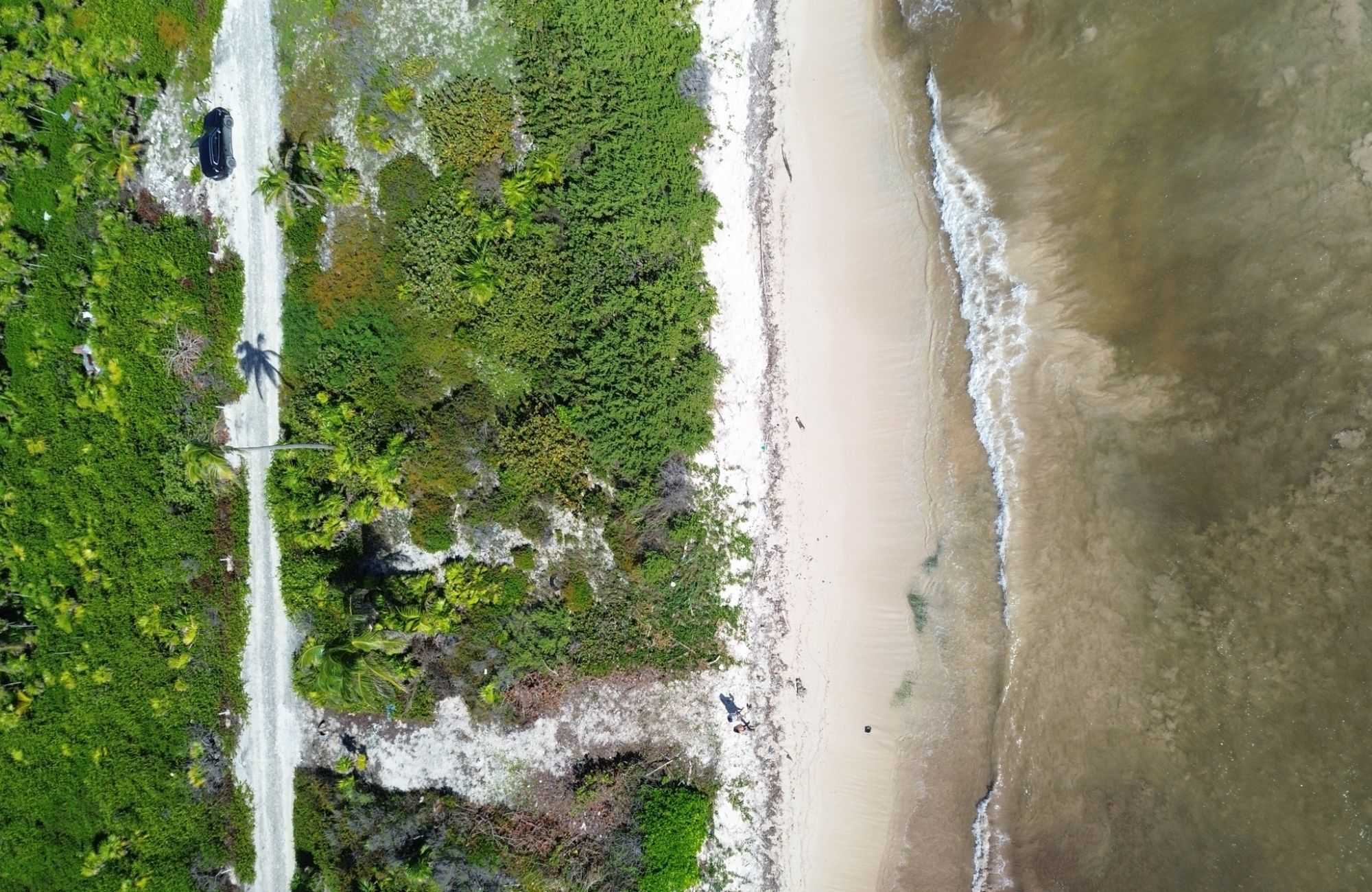 Beachfront lot with beach club, high-density mixed-use zoning for sale, Mahahual
